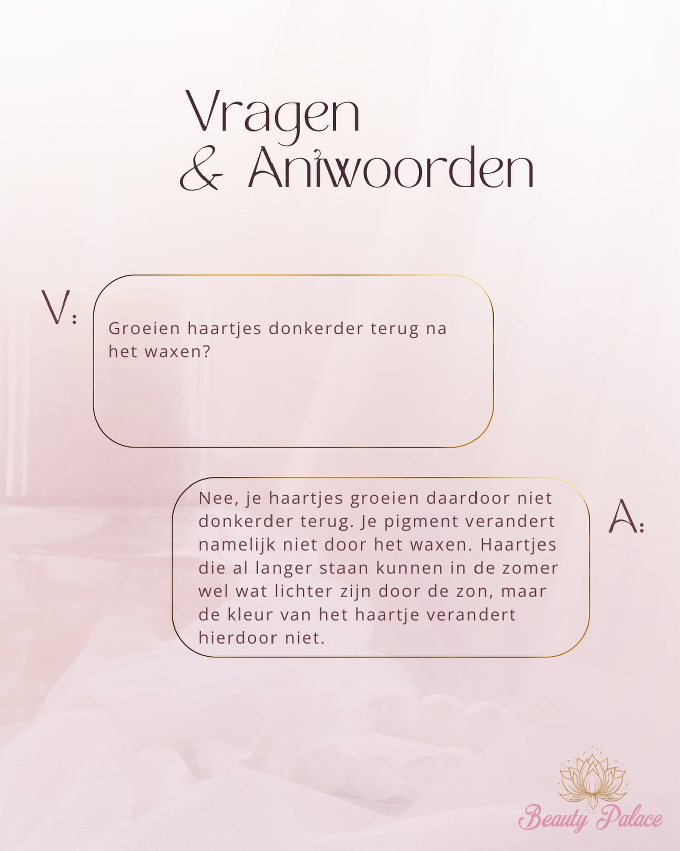 Wat wil jij graag weten?👇🏼☀️