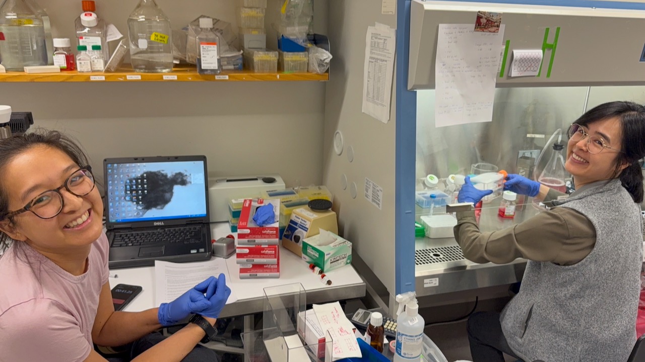 The best part of the job is the people. So happy to share the lab with these brilliant fellow physician-scientists. From the clinic to the tissue culture hood, the work never stops, but the smiles make it absolutely worth it! 🔬🩺✨ #PhysicianScientist #LabLife