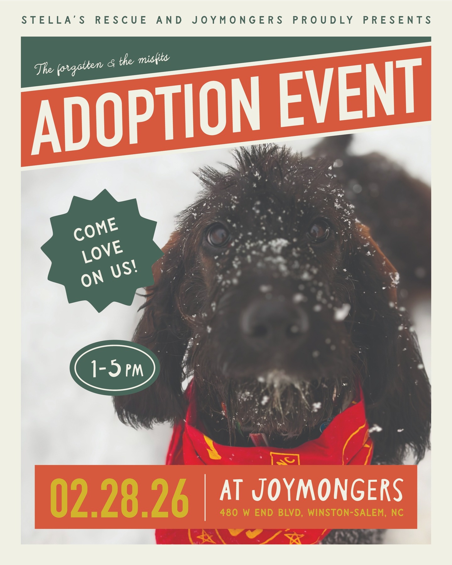 We’ll be at Joymongers this Saturday (02.28) from 1–5pm with some of our forgotten friends and misfits who are highly trained in prolonged eye contact and emotional manipulation.
Friendly warning: consumption of beer may significantly increase your chances of going home with a lovable furry friend. Side effects include “we’re just fostering” and suddenly needing another dog bed.
We are FULL. Overflowing. Converting-another-room-in-our-house full. So if you’ve been thinking about adopting… this might be your sign.
Come for a beer. Leave with a best friend.
#StellasRescue #WSNC #WinstonSalemNC #AdoptDontShop #Joymongers #NCRescue #DogAdoption #CatAdoption