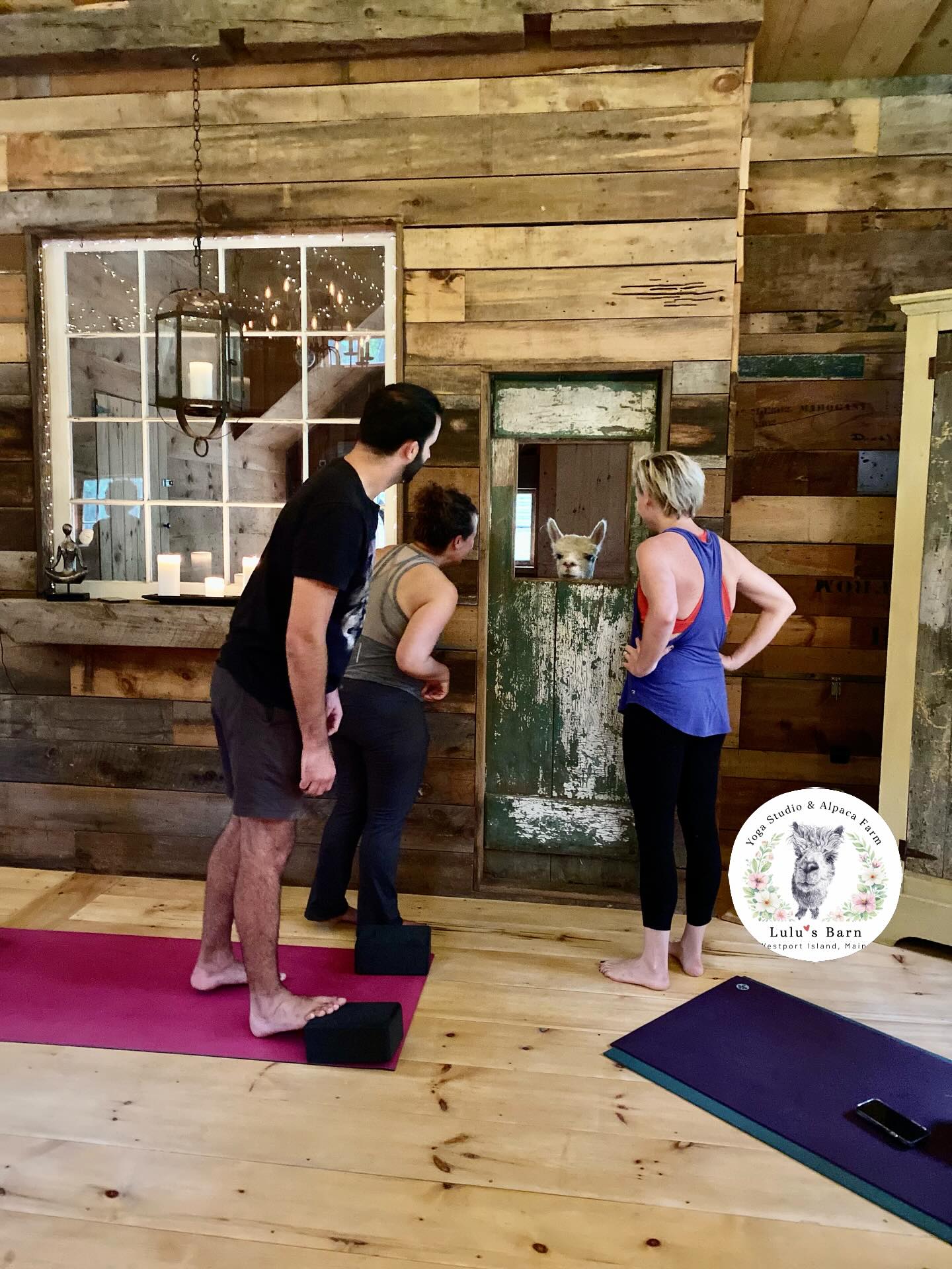 Yoga + Alpacas at Lulu’s Barn 🧘🏻🦙
Join us for our new March schedule
- Mondays 5:30 pm Hatha Yoga
- Wednesdays 5:30 pm Beginner Pilates
- Sundays 9 am Vinyasa Flow
All classes are beginner-friendly
$20 drop-in
Link in bio to book your class.
#mainesmallbusiness #mainewellness #maineexperience #maineyoga #pilates