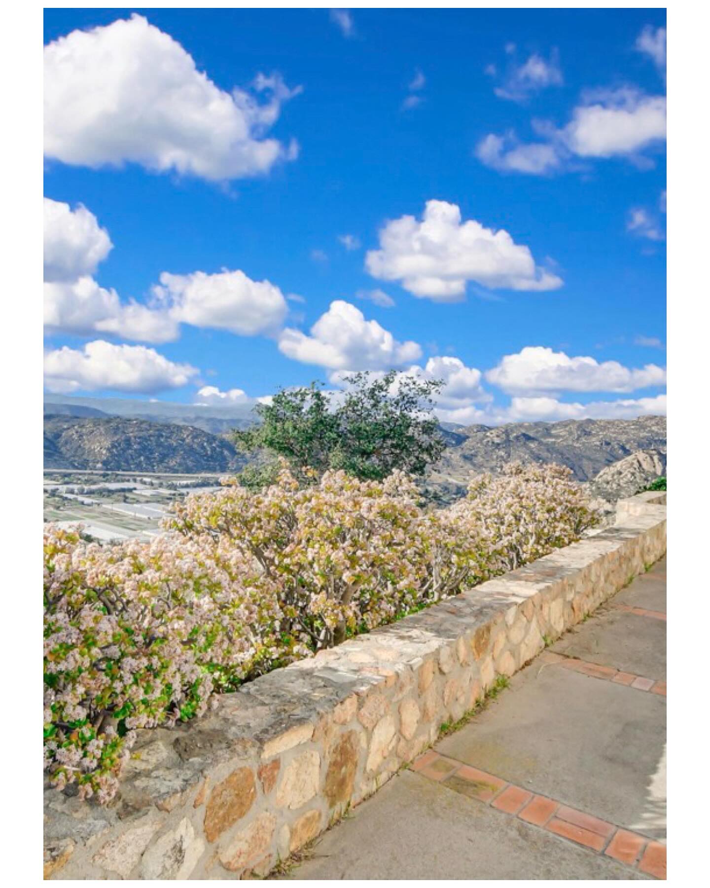 Return to another era with endless views, timeless wood shiplap, and limitless possibilities. It’s a world away and yet within reach.
Proud to bring this 4bd 2ba home back to market at its dreamy new price of $1.3m.
6750 Rainbow Heights, Fallbrook
4bd 2ba 3100sf (virtually staged)
41 acres
Presented by Home4Good | The Miller Group
HomesmartEGR Cal BRE 01463771
#justlisted #views #horseproperty #acreage