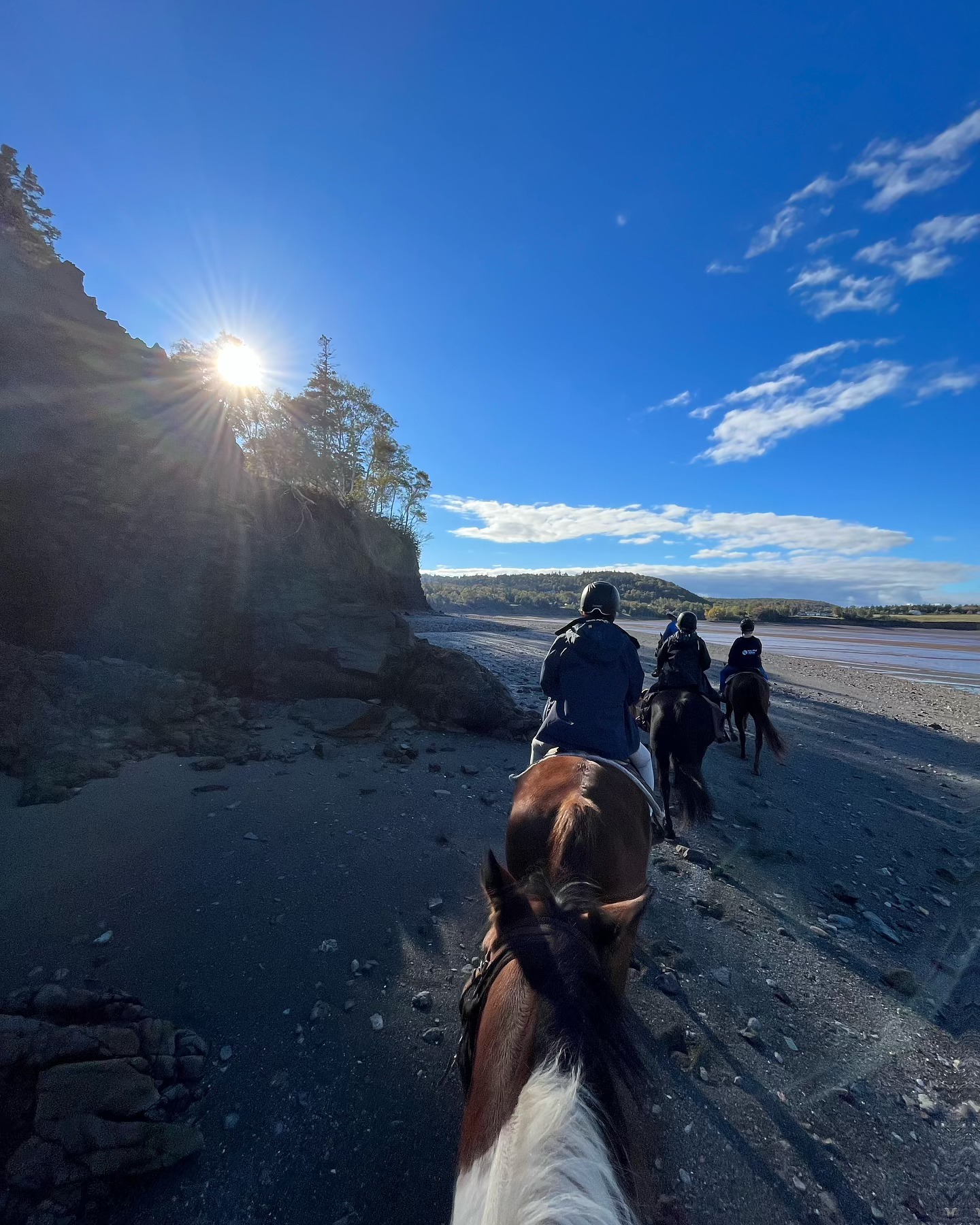 Some photos from our most recent fossil tour ride, no better classroom then a horses back 🪨🐴 Happy Wednesday everyone!!
#horses #spiritreinsranch #beach #tourism #ns #hightide