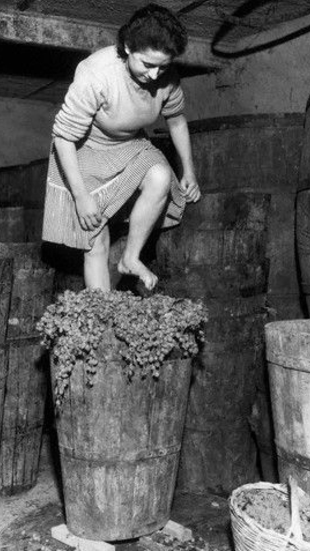 From an idea… to a lifestyle.
Because Vie de Rêve is more than wine—it’s a way of living🌊🥂
#VieDeRêve #DreamLifestyle #SparklingMoments