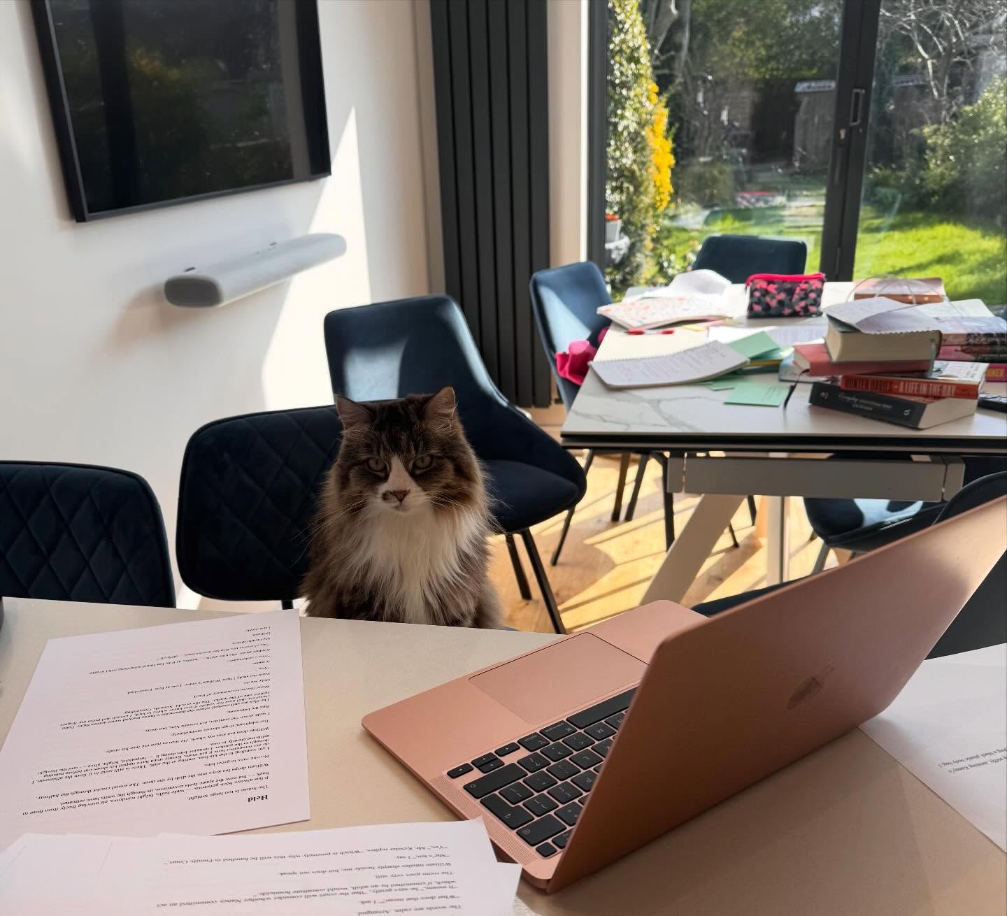 Choo Choo’s ready for some writing ✍️ but Benny’s found a sunny spot☀️