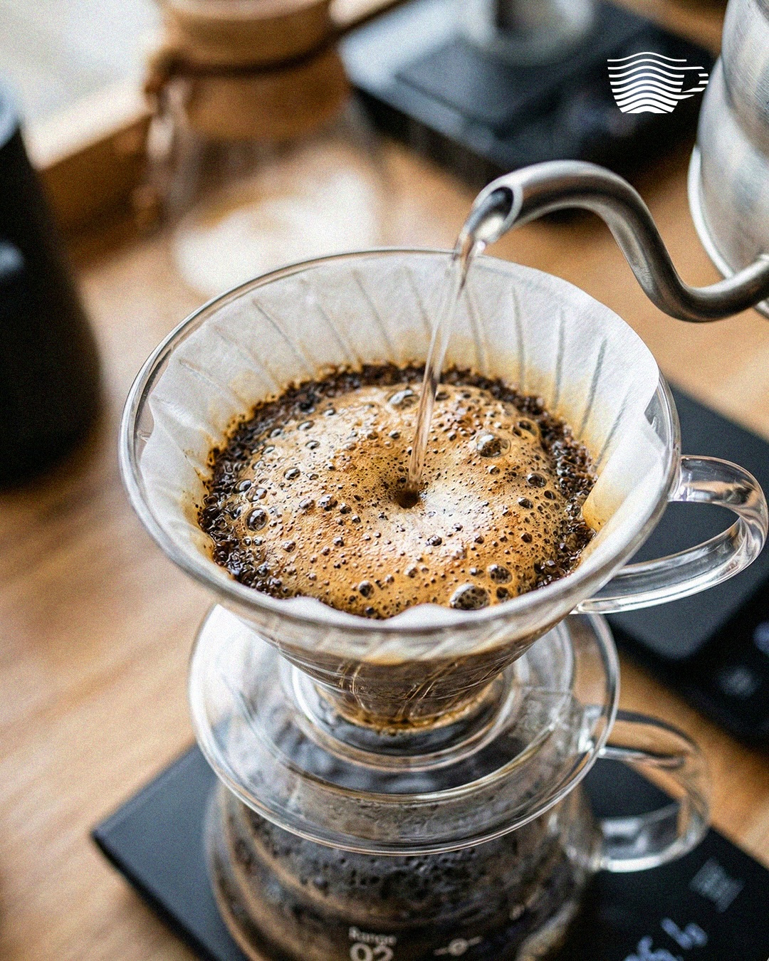 El café perfecto no es casualidad, es técnica.
Cada detalle influye en la taza final, la forma de verter el agua, la proporción exacta y el tamaño correcto de molienda.
Cuando entendés estos elementos, cada método revela todo el potencial del café.
En Xpecialty creemos que preparar café es un proceso de precisión, pero también un ritual que se disfruta.
☕ Descubrí métodos, accesorios y equipos para llevar tu café al siguiente nivel.