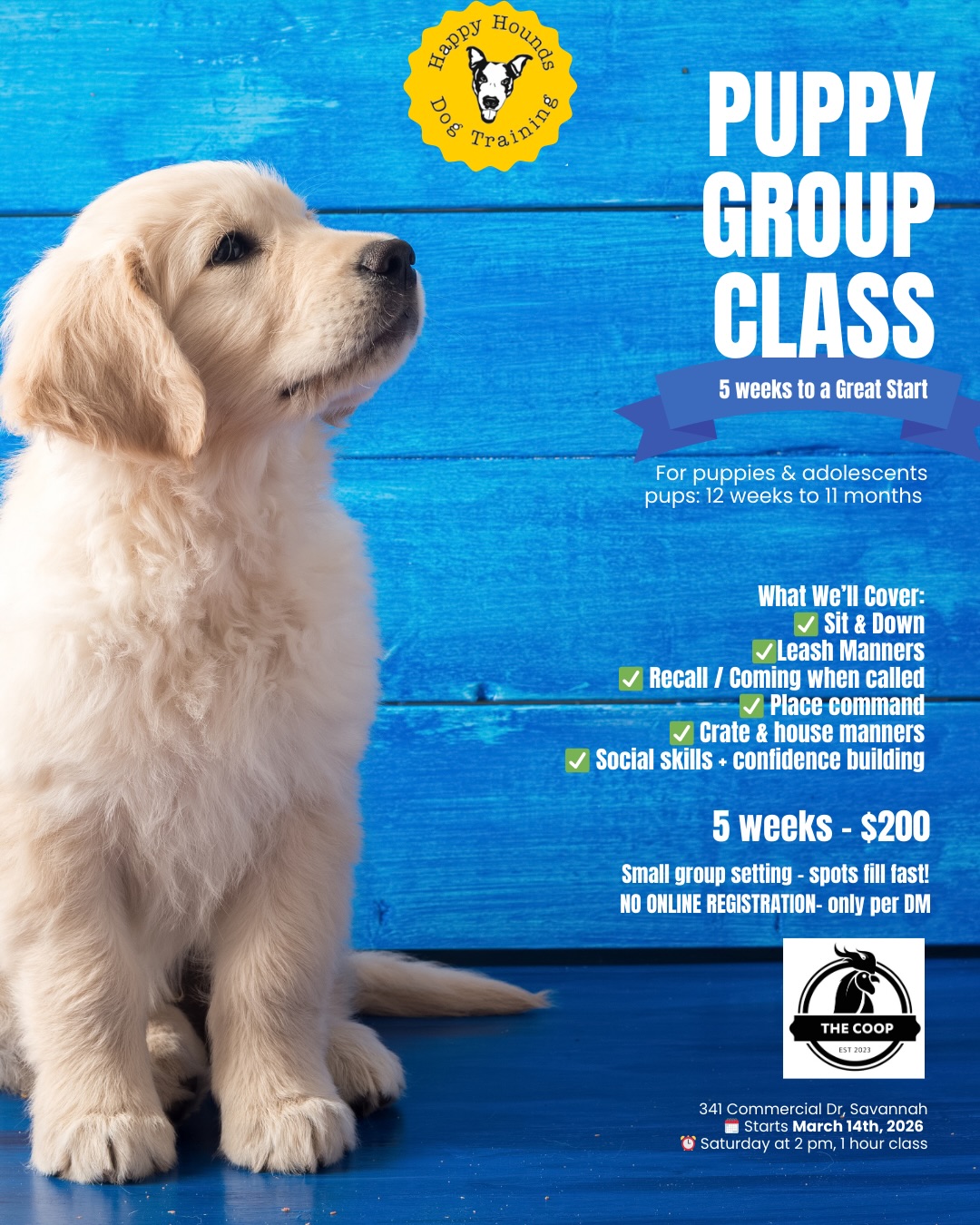 🐶✨ PUPPY GROUP CLASS IS OPEN! ✨🐶
Give your pup the best start with our 5-week Puppy Group Class!
Perfect for puppies & adolescents (12 weeks–11 months), we’ll cover:
✔ Sit & Down
✔ Leash Manners
✔ Recall (come when called)
✔ Place Command
✔ Crate & House Manners
✔ Social skills + confidence building
📍 341 Commercial Dr, Savannah @thecoop_sav
🗓 Starts March 14th, 2026
⏰ Saturdays at 2 PM (1 hour)
💲 $200 total
Payment breakdown:
• $50 non-refundable deposit due at sign up
• $150 due on the first day of class
Spots are limited and fill fast!
To sign up, message me or email elisa@happyhoundsdogtraining.org 🐾💛