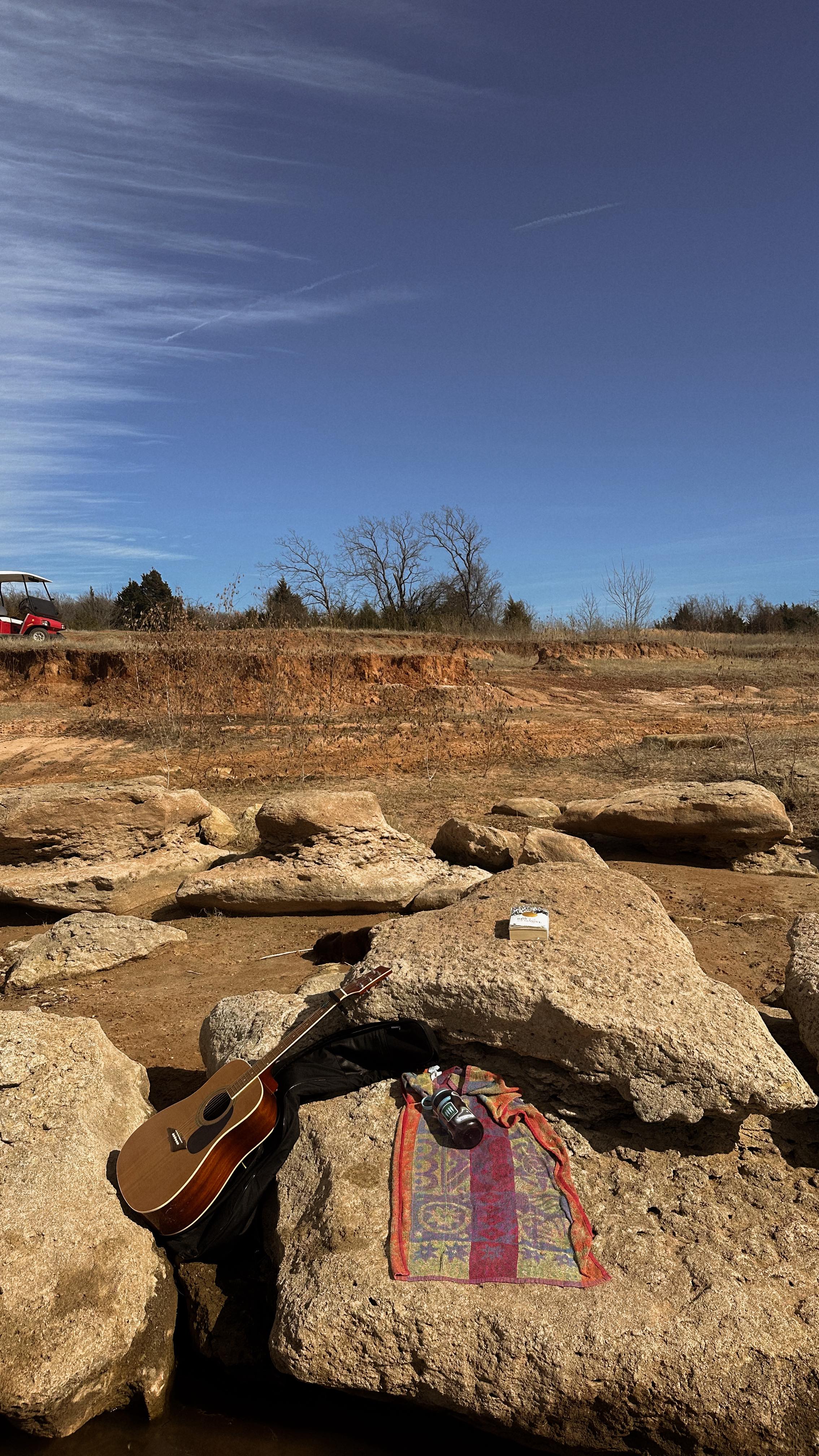 oh to be young and free
#youngerdays #thewildreeds #music #songcover #musician