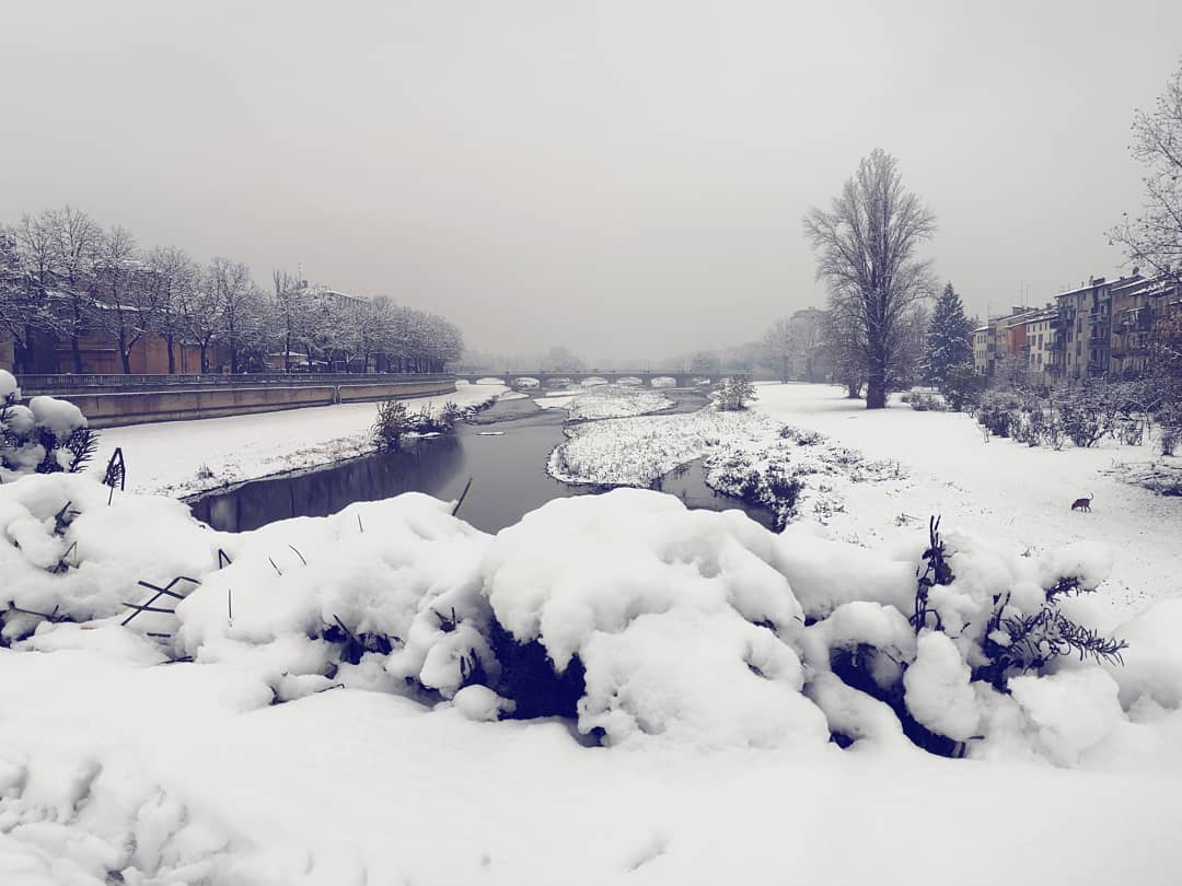 Last month in Parma 🌨️❄️
.
.
Siete mai stati in Emilia e nella città di Parma durante i mesi invernali? La città è tutta illuminata e quest'atmosfera da montagna, con le strade innevate , rendeva ancora più magico il periodo natalizio 🎄
.
.
.
🇬🇧 Have you ever been to Emilia and the city of Parma during the winter months? The city is all lit up and this mountain atmosphere, with the snowy roads, made the Christmas period even more magical 🎄.
.
.
. #photooftheday #inverno #neve #snow #amici #ski #snowboard #snowday #snowman #snowing #letitsnow #snowwhite #innevata #cadelaneve #amazing #art #awesome #travelblogger #travelphotography