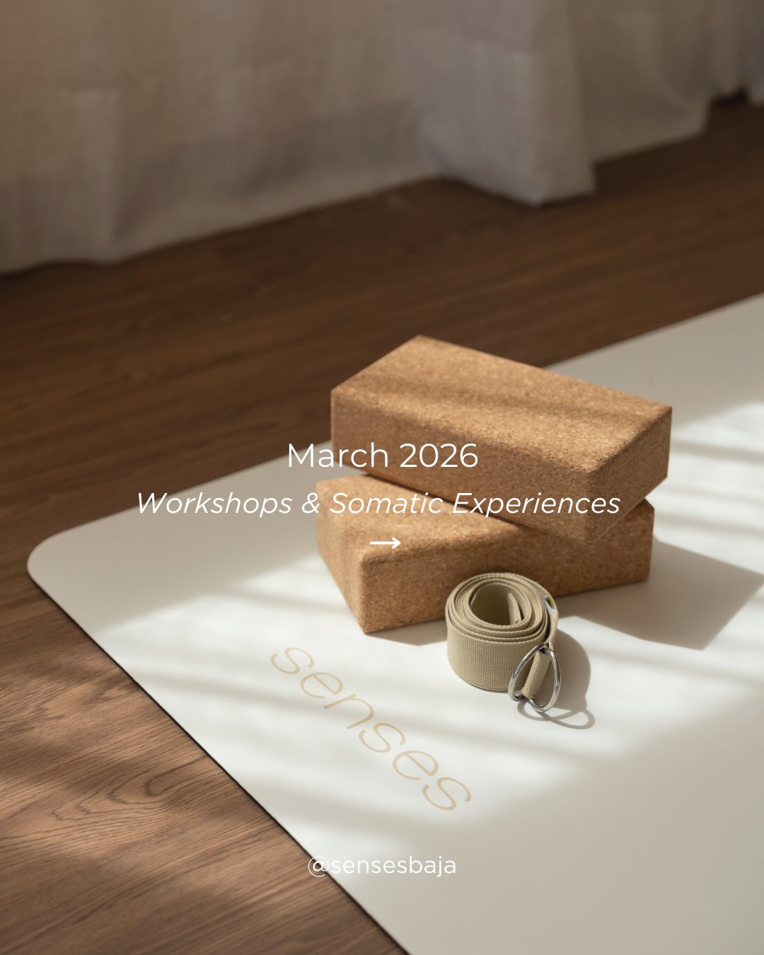 We’ve got some special experiences and guest facilitators joining us at Senses in March ✨
Join us for somatic healing, embodied movement and deep immersive experiences.
We look forward to hosting the Cabo community 🤍
#somatichealing #emotionalwellness #cabo #embodiment #movement