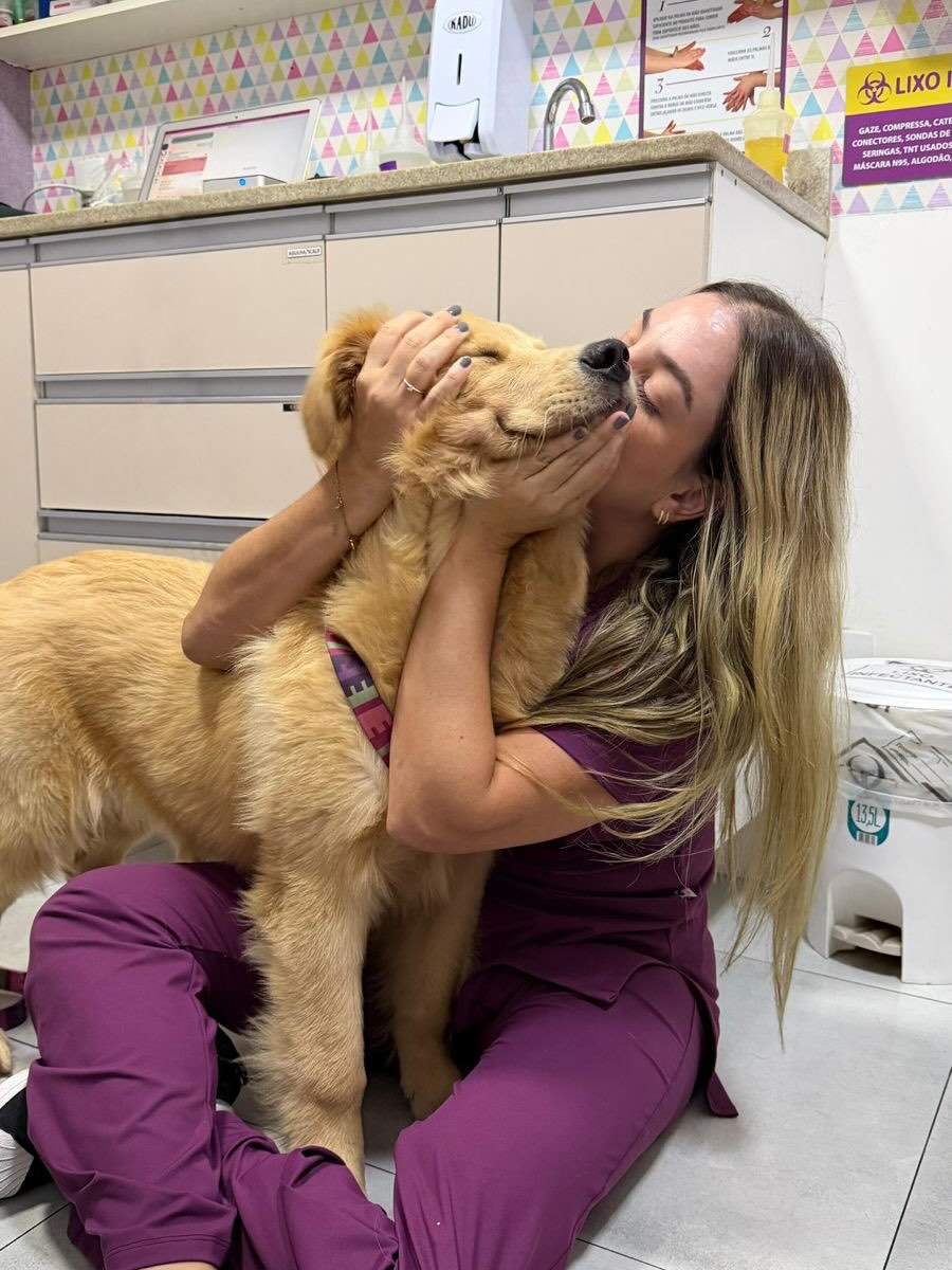 Cuidar também é prevenir.
A Milka, essa filhotona de Golden Retriever cheia de energia, passou por uma etapa muito importante antes da retirada de um papiloma: os exames cardiológicos pré-operatórios.
Mesmo sendo jovem, cada paciente é único, e avaliar o coração antes de qualquer procedimento é parte do compromisso com uma anestesia mais segura e uma recuperação tranquila.
Se seu pet vai passar por procedimento cirúrgico, converse com seu veterinário sobre a importância dos exames pré-operatórios.
Segurança não é detalhe. É prioridade.
