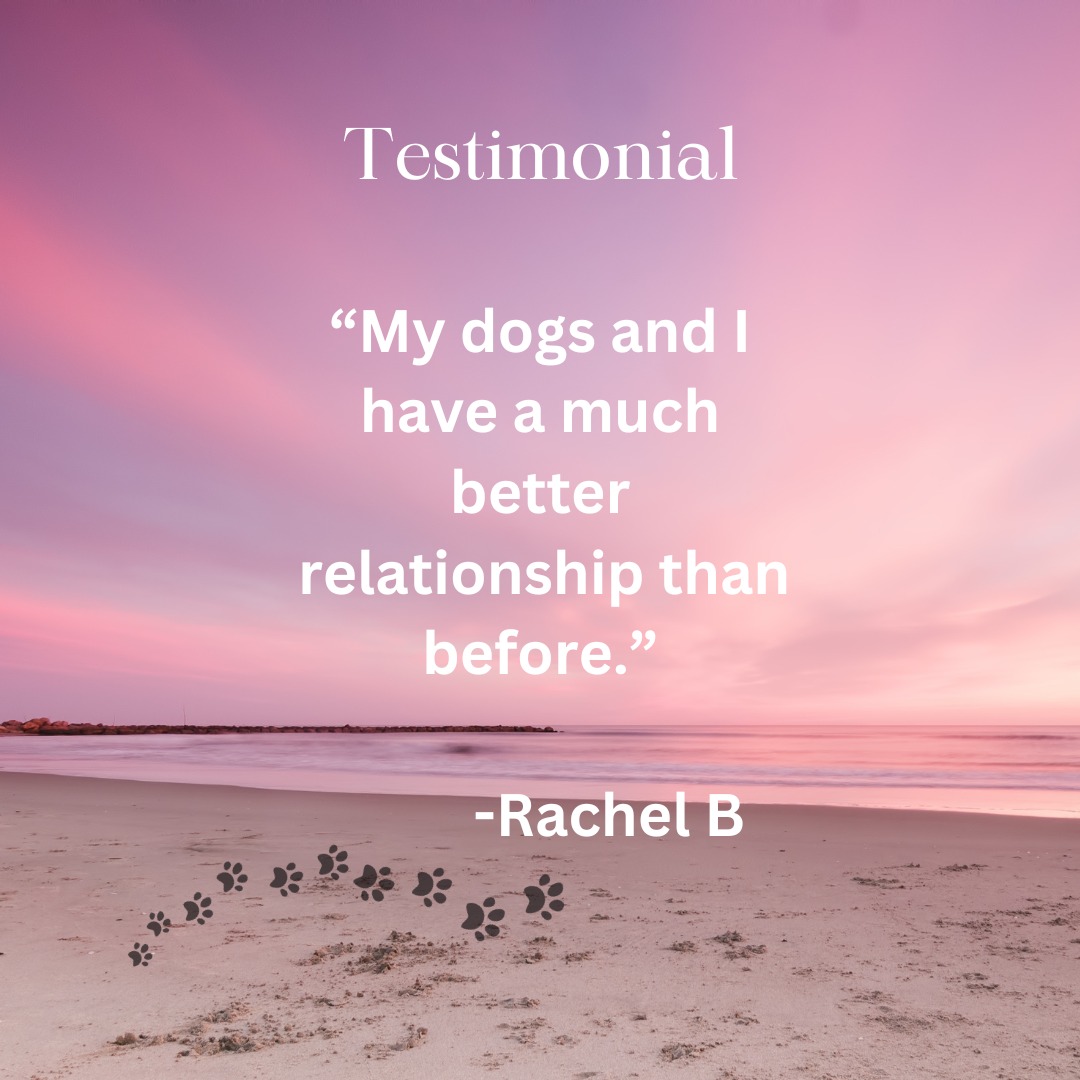 Being able to help facilitate this transformation in their relationship has been incredible. What was once frustration and confusion has grown into trust, understanding, and connection. They’re truly living the good life together now
#understandingchangeseverything #totalwelfare #thegoodlife #legsmodel #fdm #Learning #Environment #Genetics #self #itallmatters #dogsbeingdogs #fdm #familydogmediation #doglove #liveinthenow #connection #relationships #stepintoyourdogspaws #doglife #beyondtheoperant #nobaddogs #doglifestyle #sniffspot #unconditonallove #enrichment #confidence #foster #itsallnew