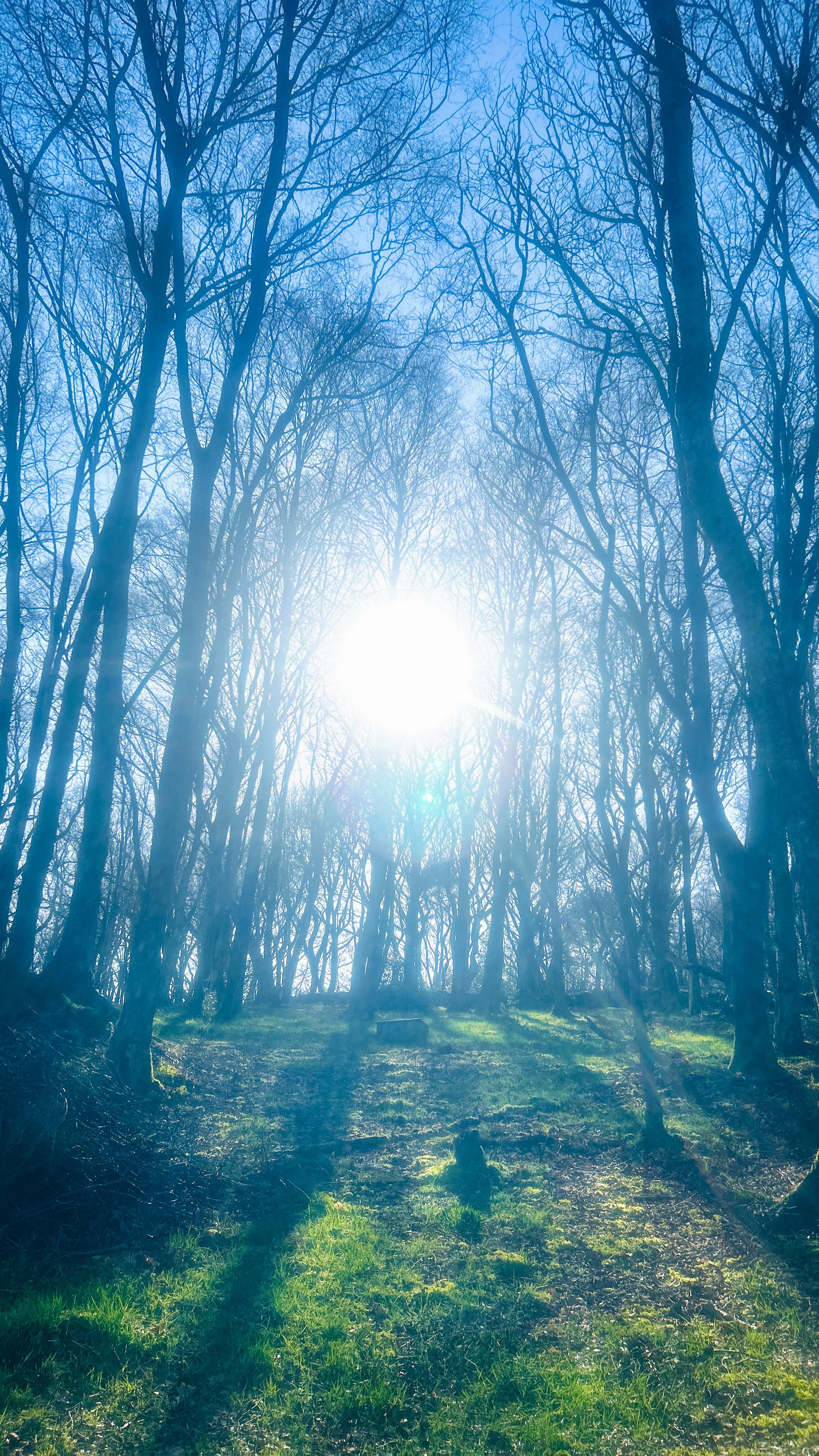 Can you hear what I’m saying? When was the last time you said this to yourself?
#selflove #magicalnature #somaticcoaching