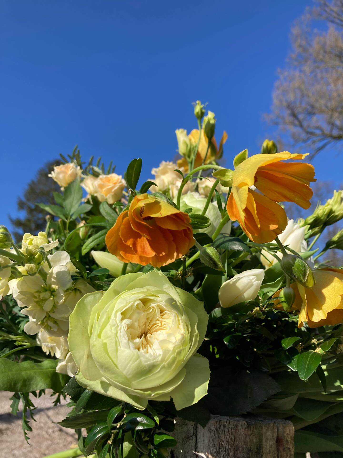 🌷🌷🌷MOTHERS DAY🌷🌷🌷
Beautiful bouquets of seasonal flowers presented in a vase and delivered on SUNDAY 15th MARCH in the south lakes area.
Call or email to place your order 😊
07715 707784
floristrybycarmen@yahoo.com
#mothersday #happymothersday♥️ #mum #lovemymum #flowerdelivery
