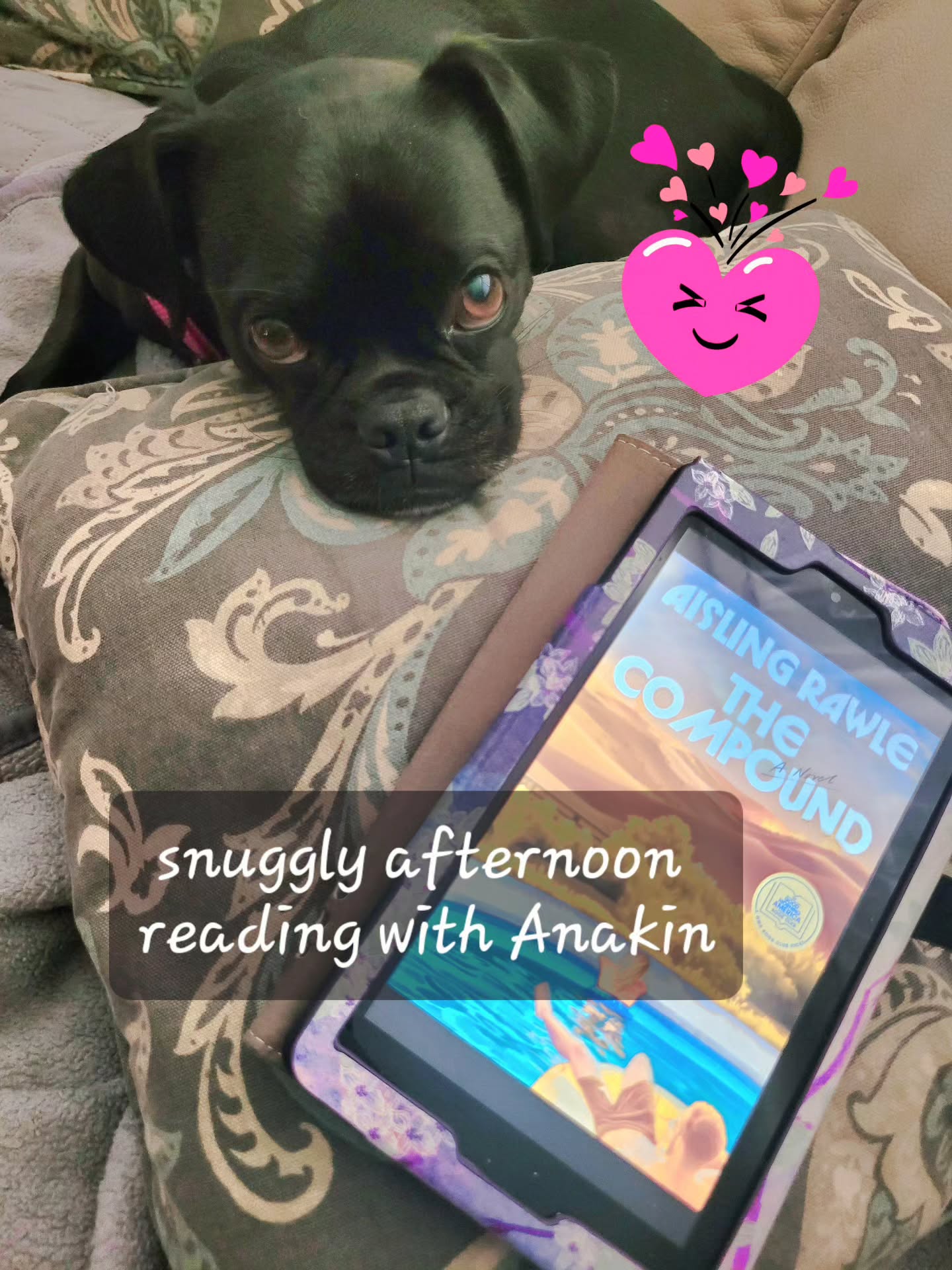 He's a special boy brightening my life 💖
#puglife
#pugmom
#happyday
#readingandcuddling
#booklover