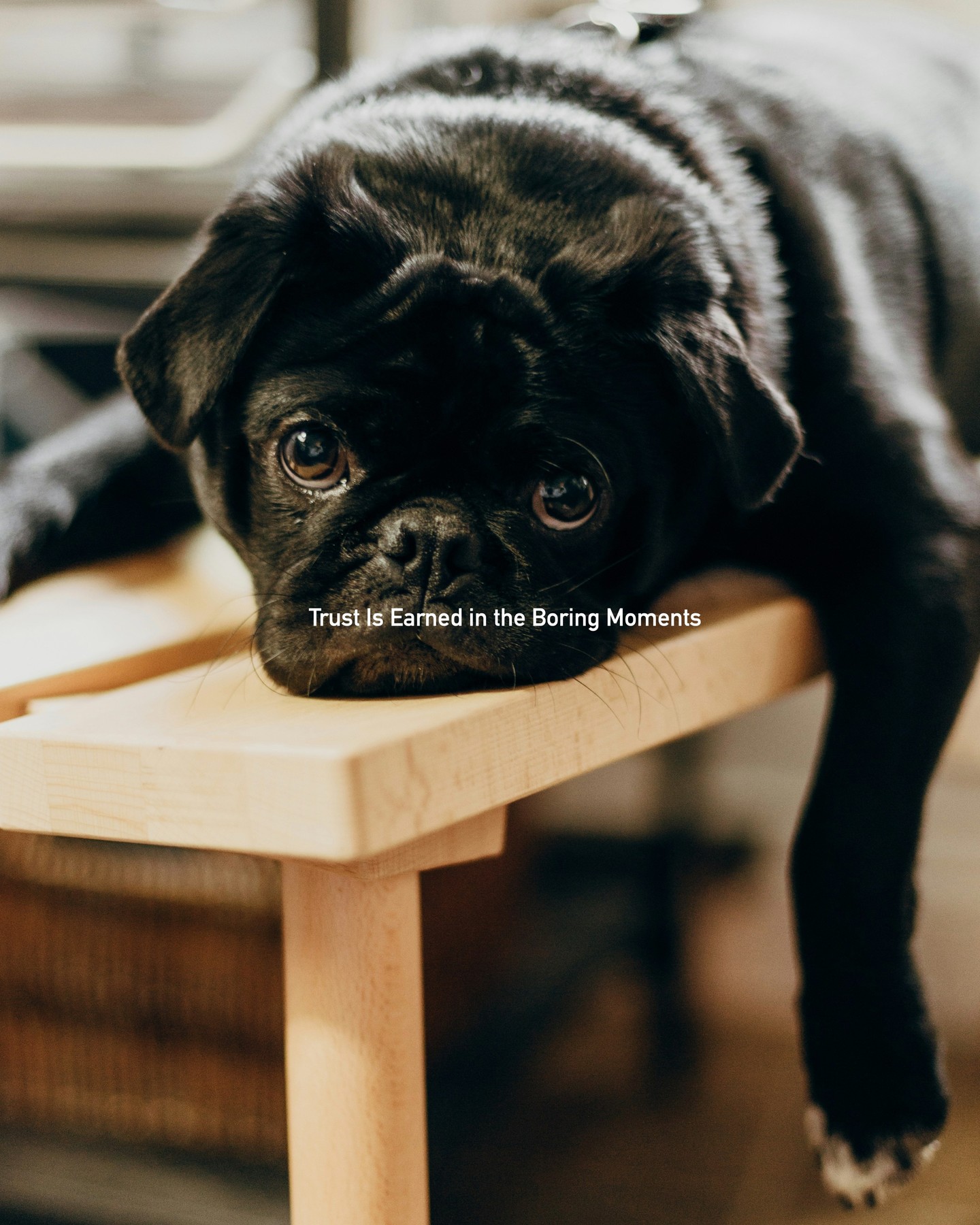 Consistency.
Follow-through.
Doing the right thing when no one’s watching.
#BrandTrust #LOLA