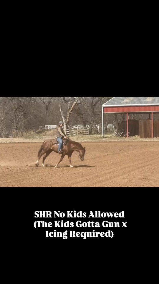 We always love to keep up with our foals and see what amazing things they do.
We'd like to congratulate @scalcagnini and Gilberto Leal! They purchased SHR No Kids Allowed (Icing Required x The Kids Gotta Gun) and are off to a great start!
Thank you for sharing his progress!!
#SantaHillRanch #nrha #nrhareining #colt #reining