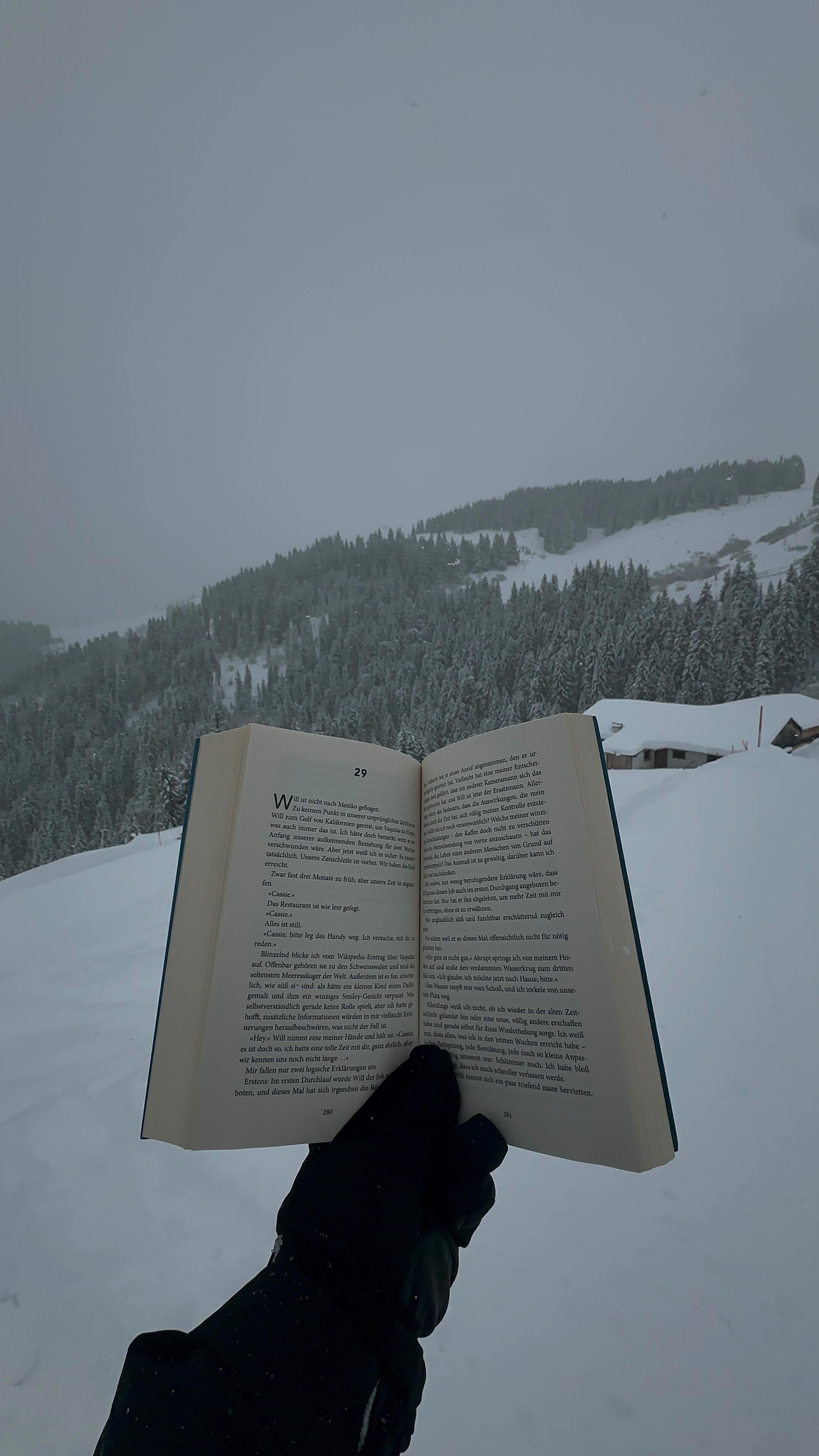 Wenn das Buch so gut ist, das du es einfach mitnimmst 😂
#bookstagram #booklove #snowboarding #liveauthentic