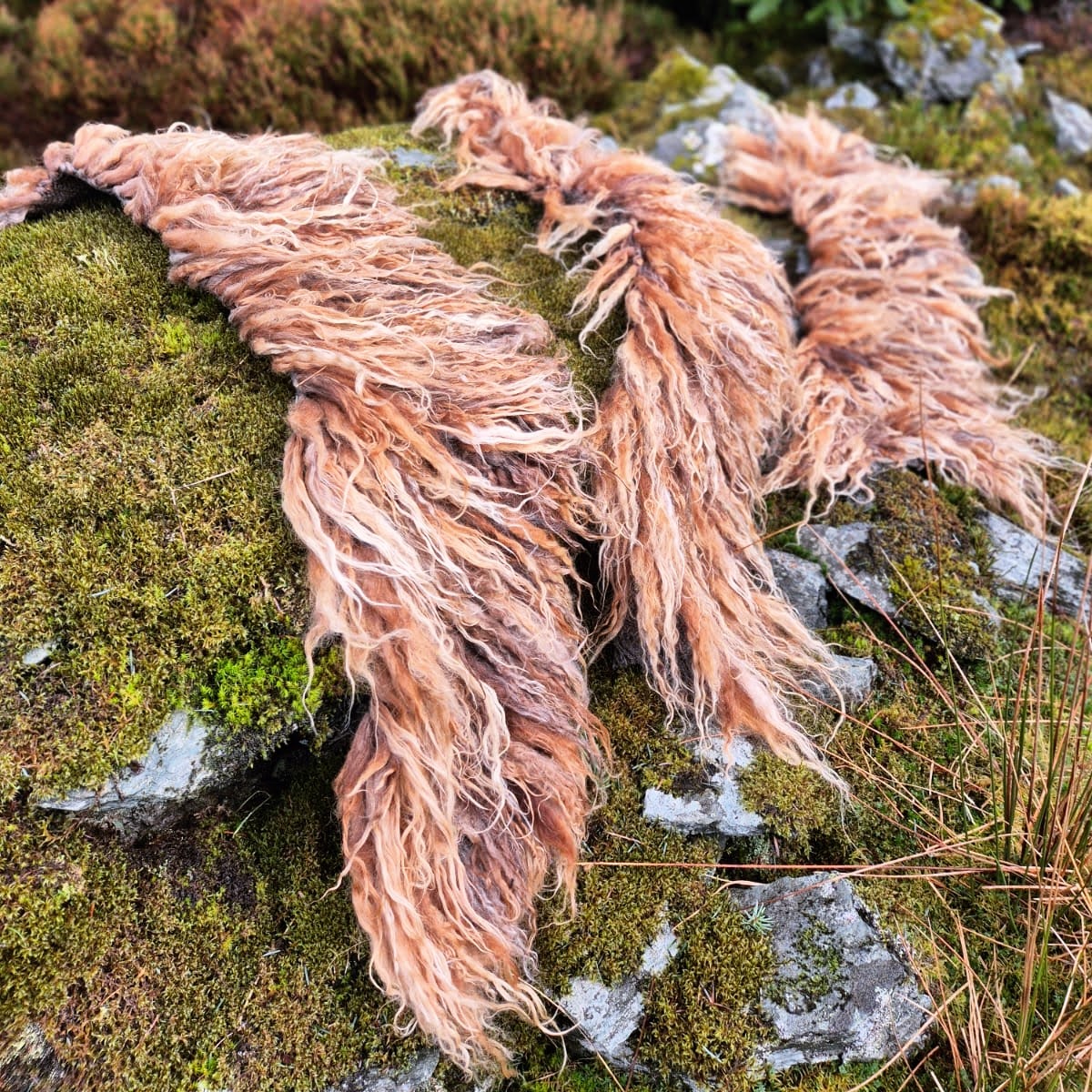 Spring has sprung, and the first baby vararfeldir of the year can be sighted scuttling through the undergrowth, feasting on moss and algae.
These matching vararfeldr collars are made for the same client who ordered the full-length versions in January, so definitely the "offspring" of the majestic Icelandic fleece cloaks.
Swipe to see how they look when worn - a joyful, wild display of colour and texture cascading over the shoulders.
#weaver #handwoven #vikingweaving #vikingcloak #vararfeldr #vikingreenactment #vikingcraft #heritagecraft