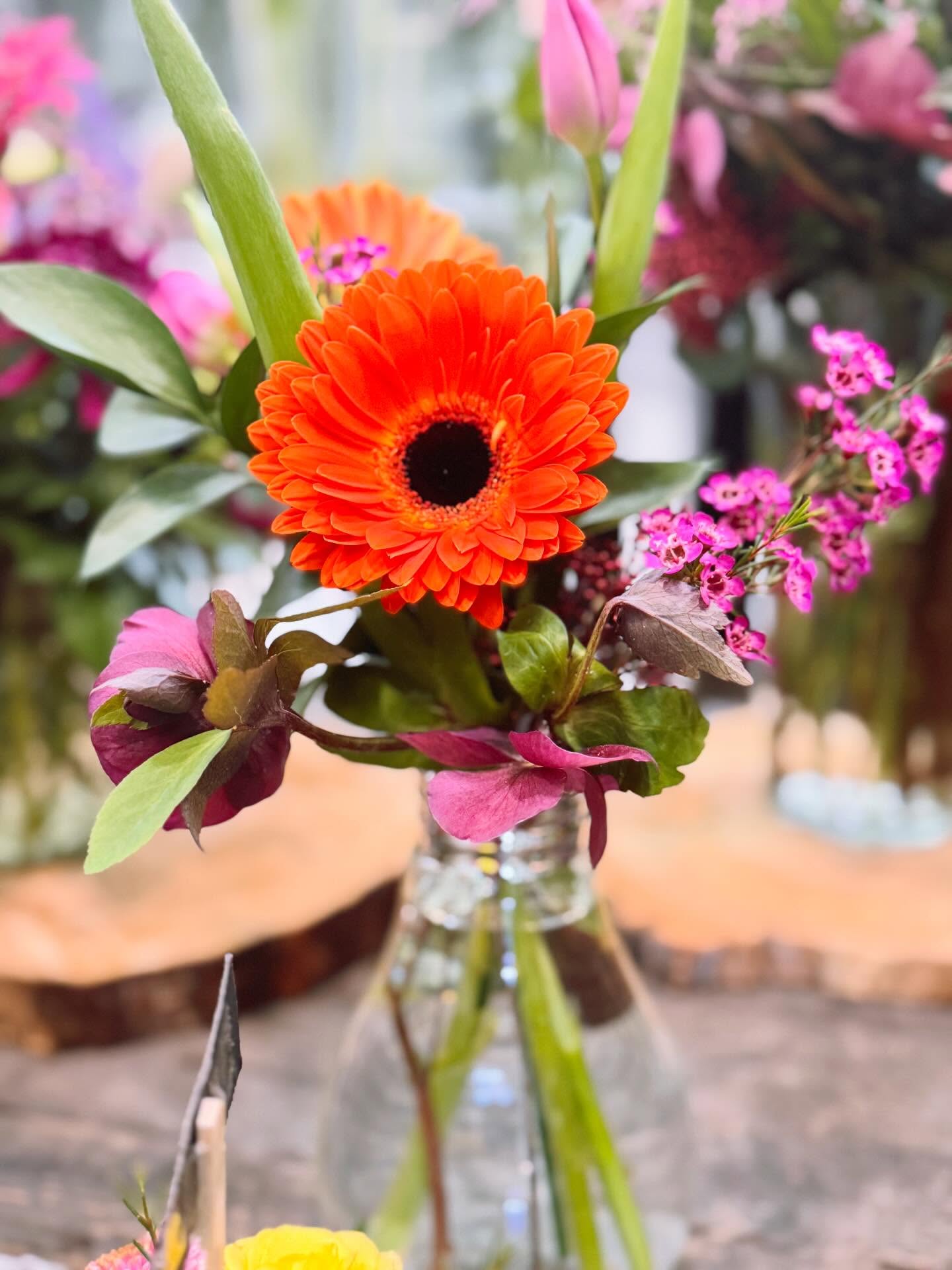 Dutchess Flower Company - family owned small business in the heart of Lacombe 🤍 Open today Saturday from 10-4 🌿Check out our new arrivals !! Have a wonderful weekend 〰️ Come visit - feel inspired 🌸