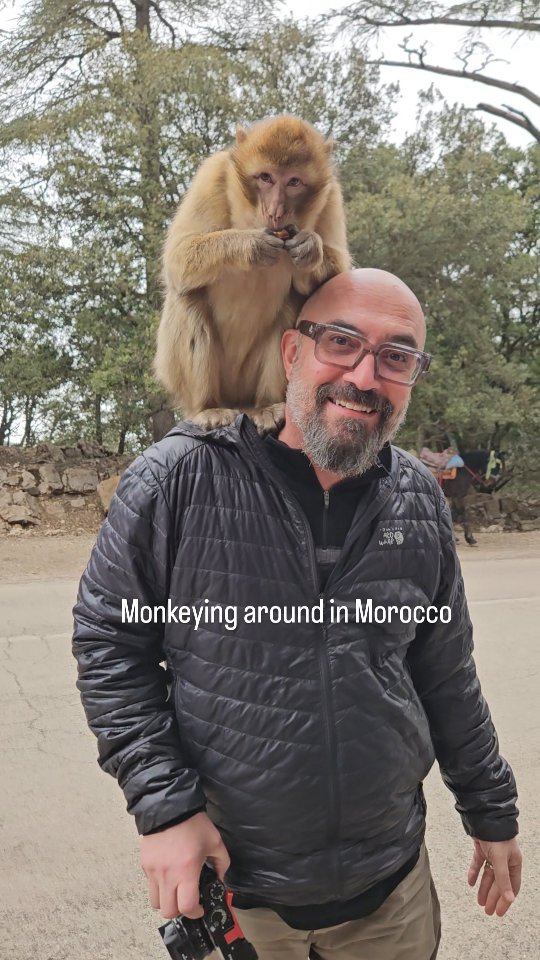 We stopped in the forest of Northern Morocco where wild monkeys hang out and the locals offer peanuts to feed them. Who knew Morocco had such monkeys?
#travelmorocco #monkeys