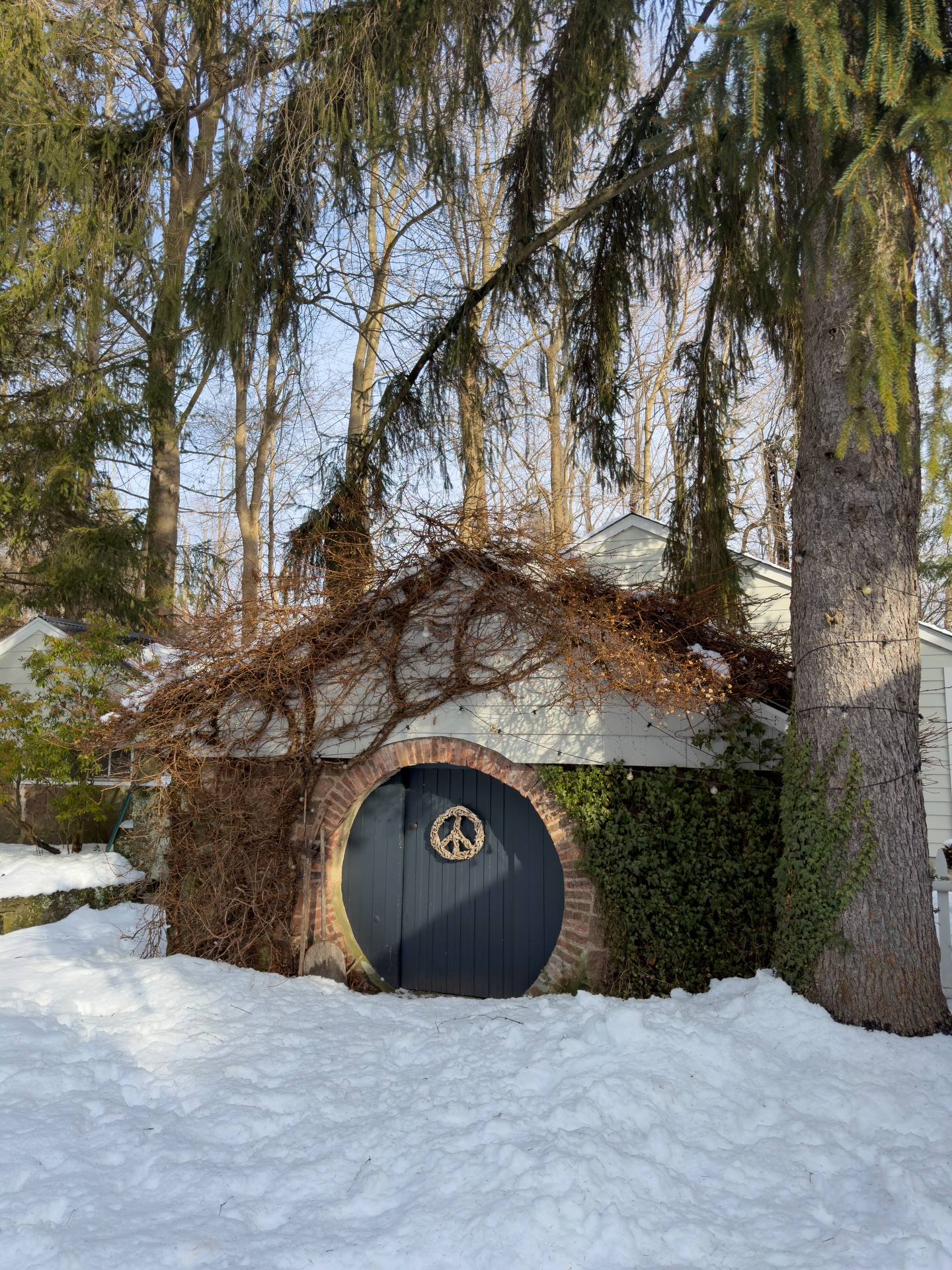 TGIF♥️ A week filled with SO MUCH snow, beautiful rugs coming & going, lots of wallpaper and paint choices, a limping pup (which gives me PTSD, I need so much therapy. IYKYK) and gorgeous mudroom inspo for the win🏆
Oh, and Survivor 50…..Yesssssss! My family lives for this. #survivor #nerds
Did you snag your favorite new addition this week (or 2 or 3😉) You may see them at your door as early as tomorrow~Enjoy!!😘✌🏼Xo