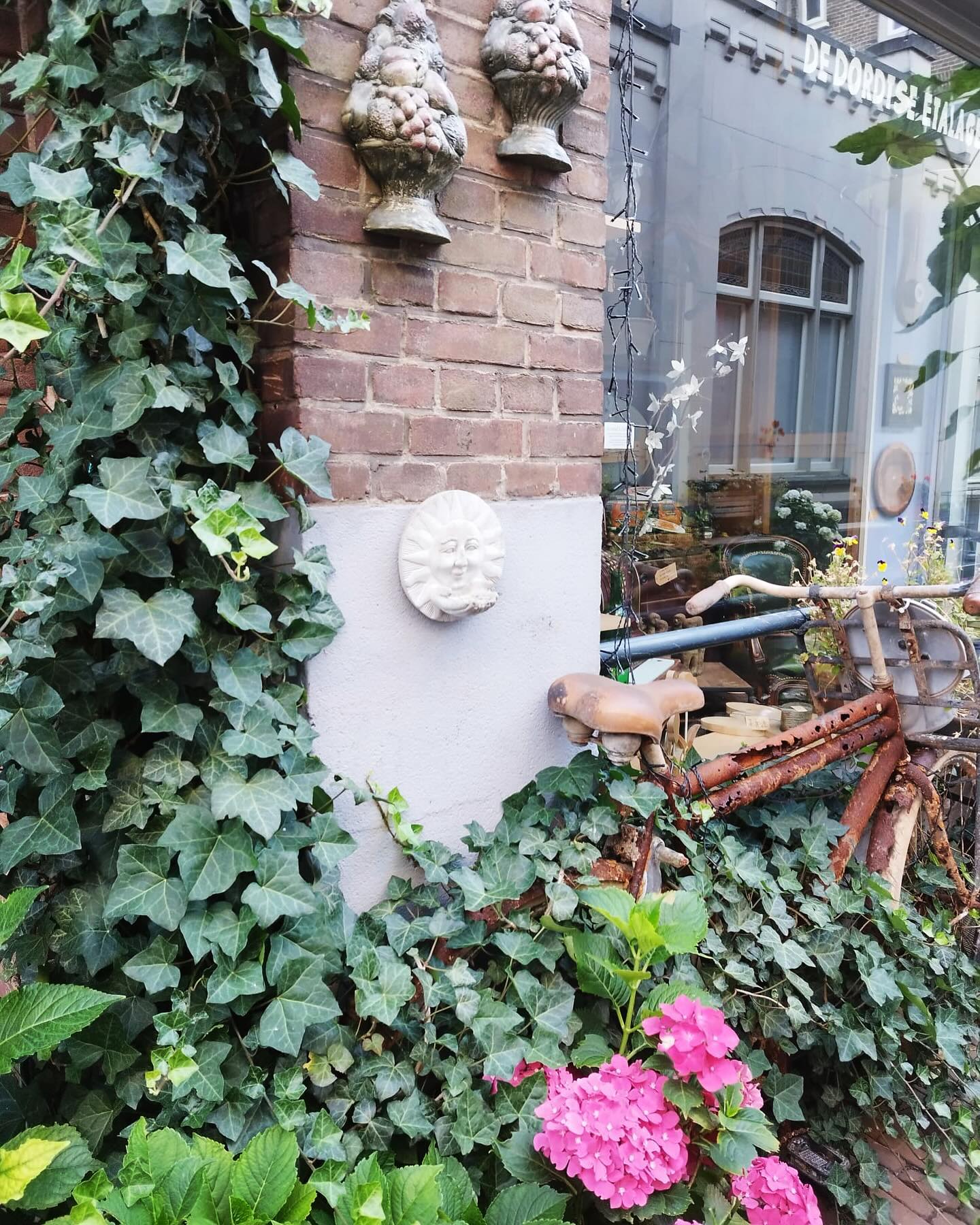 New pics from Dordrecht courtesy of Elham Vasseghi @rosegarden.dordrecht