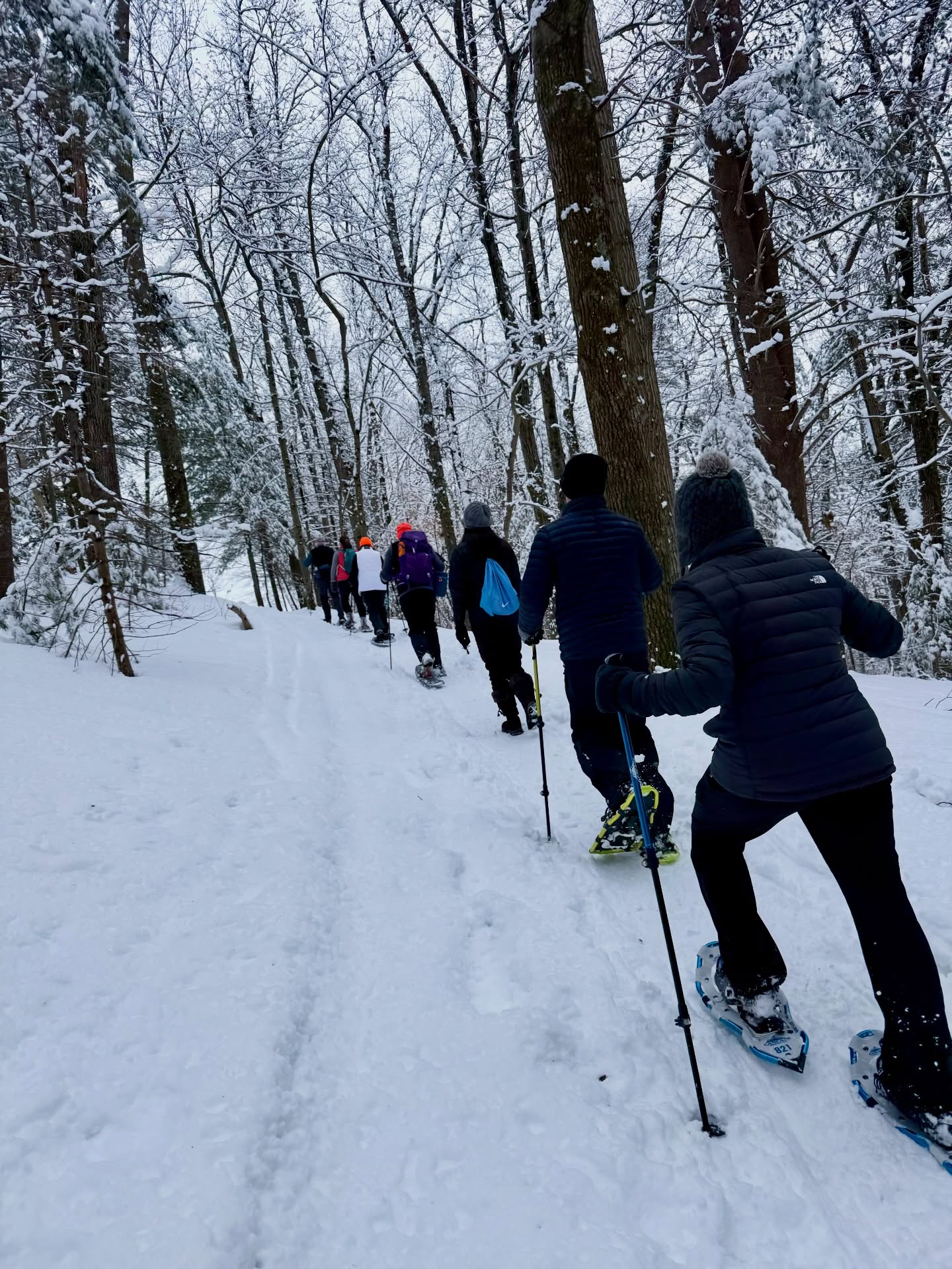 A beautiful day to get out snow shoeing up Holt Hill @thetrustees Ward Reservation today 🥾❄️ I debated bringing the DSLR but wasn’t sure what the conditions were going to be like and was going in a group and didn’t want to slow everyone down, but the iPhone 16 Pro wasn’t too shabby! Will have to try and get out there again after this next big storm.
Stay warm everyone!