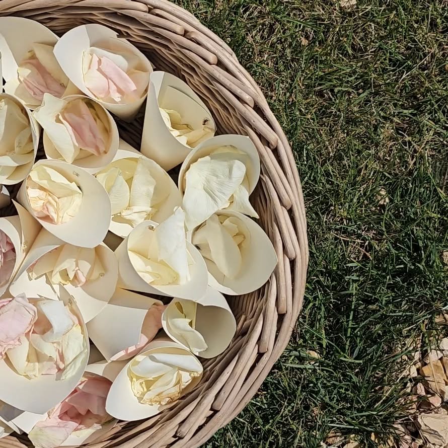 #LocationdedécorationdemariageMarseille#LocationdecorationdemariageMarseille#LocationdedécorationdemariageAixenprovence#Locationdecorationdemariageaixenprovence#Locationdedécorationdemariagepourrieres#Locationdecorationdemariagepourrieres#Locationdedécorationdemariagetrets#Locationdecorationdemariagetrets#Locationdedécorationdemariagerousset#Locationdecorationdemariagerousset#Locationdedécorationdemariagesaintmaximin#Locationdecorationdemariagesaintmaximin#Locationdedécorationdemariagevar#Locationdecorationdemariagevar#LocationdedécorationdemariageBouchesduRhone#LocationdecorationdemariageBouchesdurhône#Locationdedécorationdemariagepourcieux#Locationdecorationdemariagepourcieux#Locationdedécorationdemariageaubagne#Locationdecorationdemariageaubagne