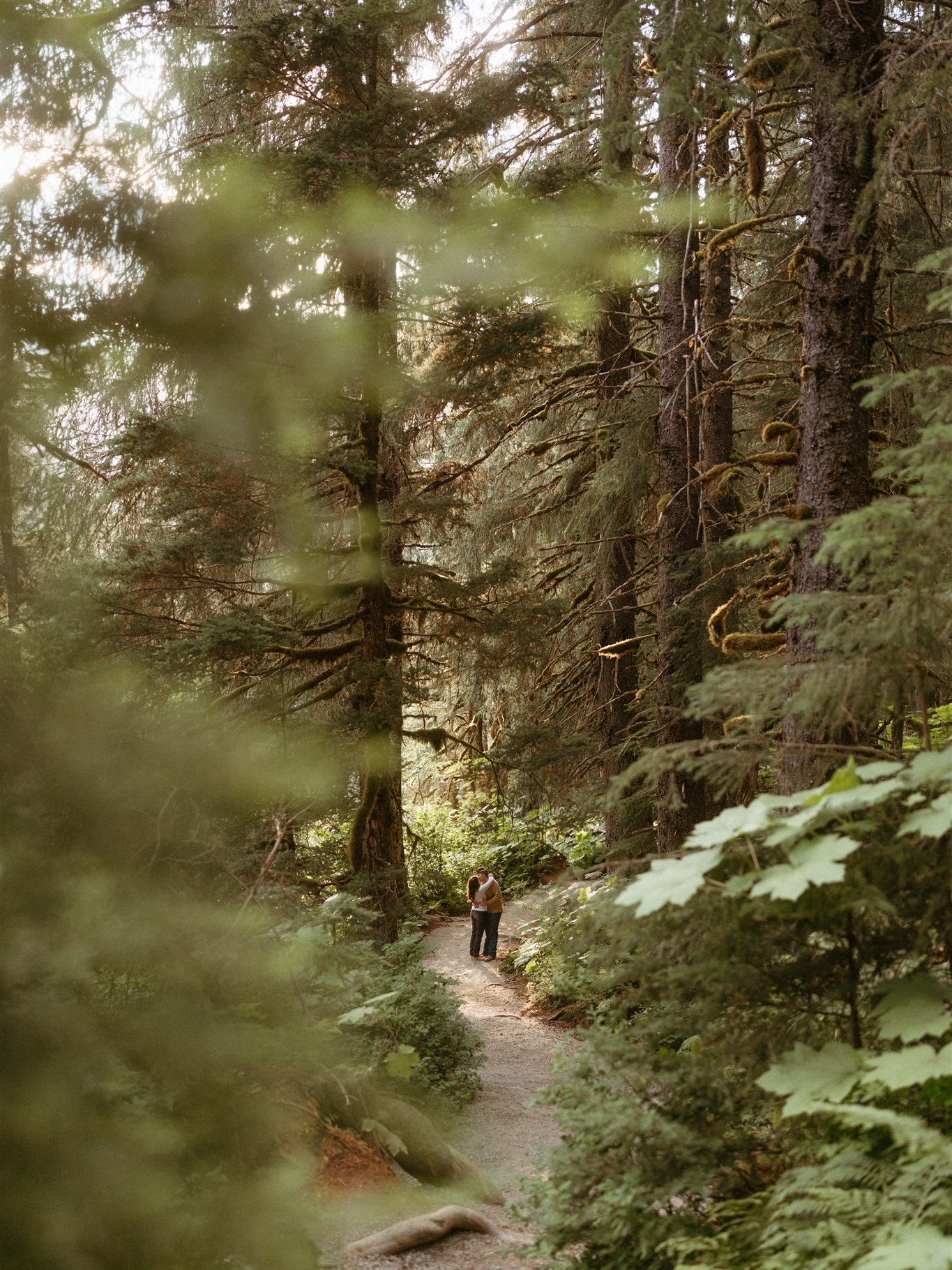 Hannah + Hunter // Engaged 💍
•
soft green velvet draped / thin shards of light met with love / ancient forest speaks
•
•
#alaskaengagementphotographer #alaskaelopementphotographer #alaskaweddingphotographer #destinationelopementphotographer #alaskacouplesphotographer