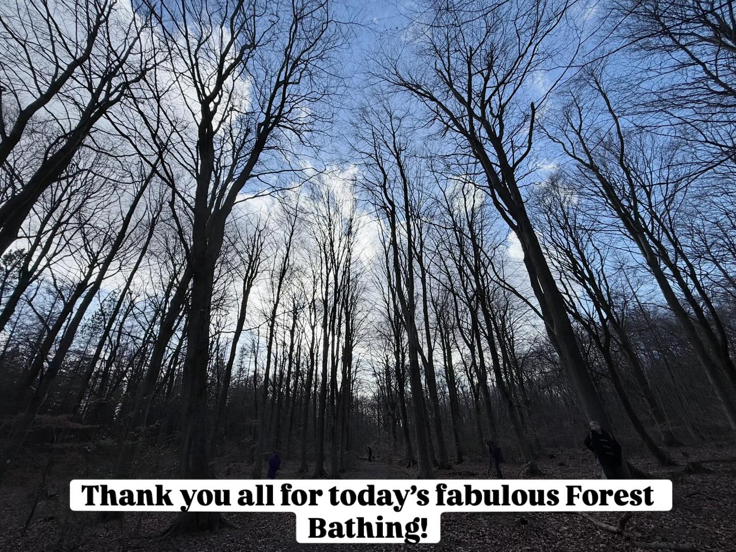 Two fabulous sessions today. Thank you everyone who joined in.
I’ll be booking in some more dates soon.
#alltogetherwild