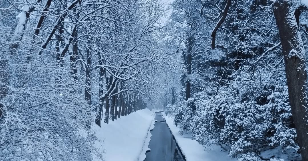 Winterwunderland Vogtland
#winterwonderland❄️ #winter #photography #vogtland #verschneitesvogtland