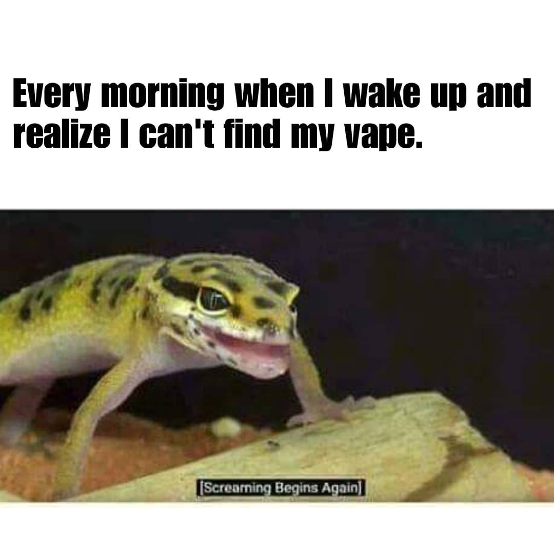 🤬😱🙄 #vaporamas #nh #vape #nhvapers #newhampshirevapers #vapepics #vapelyfe #vapelife #vapelifestyle #vapenation #vapecommunity #vapeporn #vapefamily #vapestagram #vapeshop #smokeshop #headshop