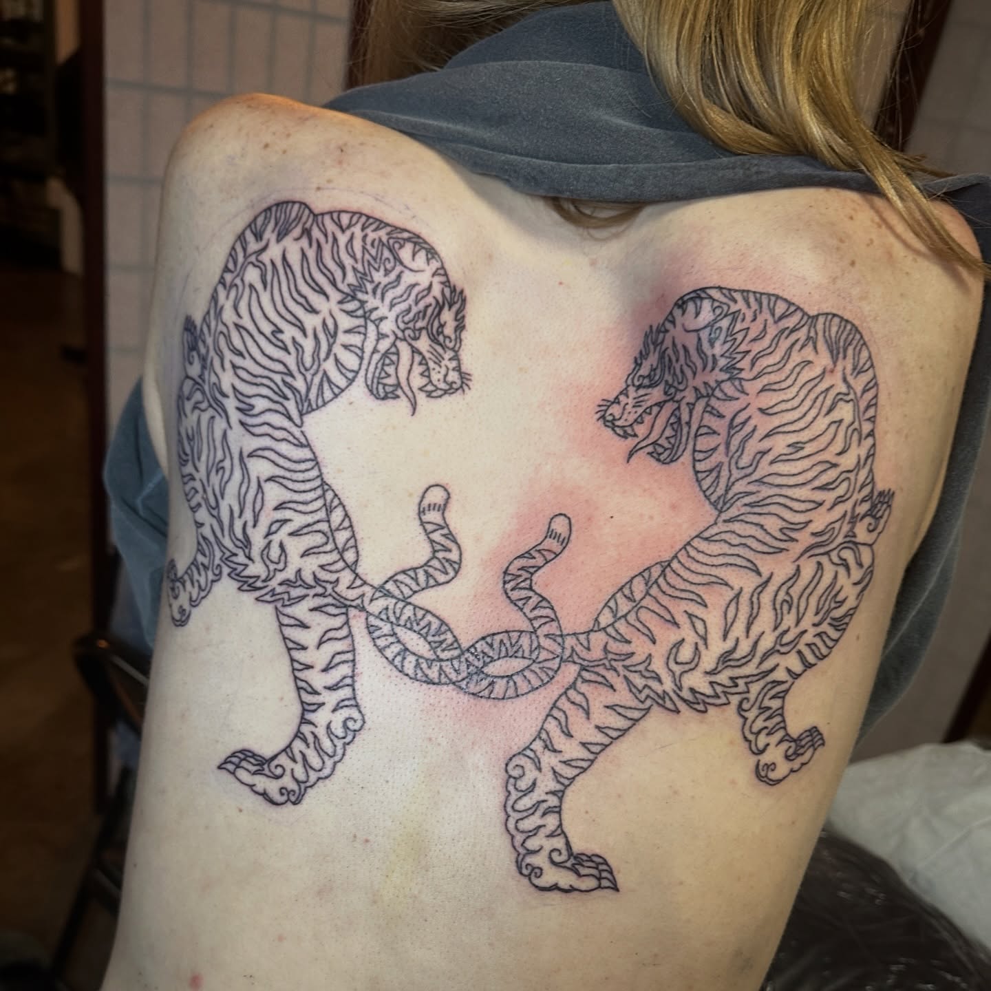 WIP 🐯❤️🔥 I would love to get more large scale pieces booked in. Any and all cats welcome!!
@electricavetattoo.atx
Email or submit a form through my bio to book💌
________________________________________
#atx#atxtattoo#tigertattoo#backpiece#backpiecetattoo