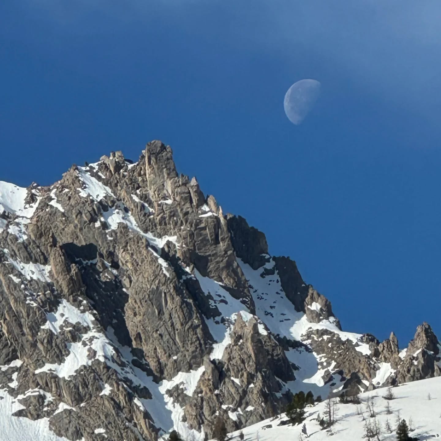 Er hangt iets moois in de lucht… 🌛
Aan het einde van deze week deel ik leuk nieuws over de Passagetochten.
En geloof me… dit wil je niet missen.
Voel jij al langer dat het tijd is voor:
🍵 vertraging
🔥 verdieping
🧭 een nieuwe stap
of gewoon even écht ruimte voor jezelf?🦋
Misschien ben je nieuwsgierig.
Misschien heb je vragen.
Misschien voel je verlangen…
Of net twijfels, bezorgdheden of “is dit wel iets voor mij?”
Alles is welkom. 🙏
Wil je niet wachten tot het nieuws bekend wordt?
Plan gerust een vrijblijvend kennismakingsgesprek in.
Dan licht ik al een tipje van de sluier en kijken we samen wat de Passagetochten voor jou kunnen betekenen.
🤸🏻♀️Boek je gratis kennismakingsgesprek in op de website www.passagetochten.fr of via mail karlienvanderheyden@gmail.com
Ik ontmoet je graag.
Karlien
🌼
📸Bedankt @pintenhi voor deze prachtige foto. 😍
#Passagetochten #transformatie #ruimtevoorjezelf #nieuweweg #outdoortherapy #groepsproces #nature #zuidalpen