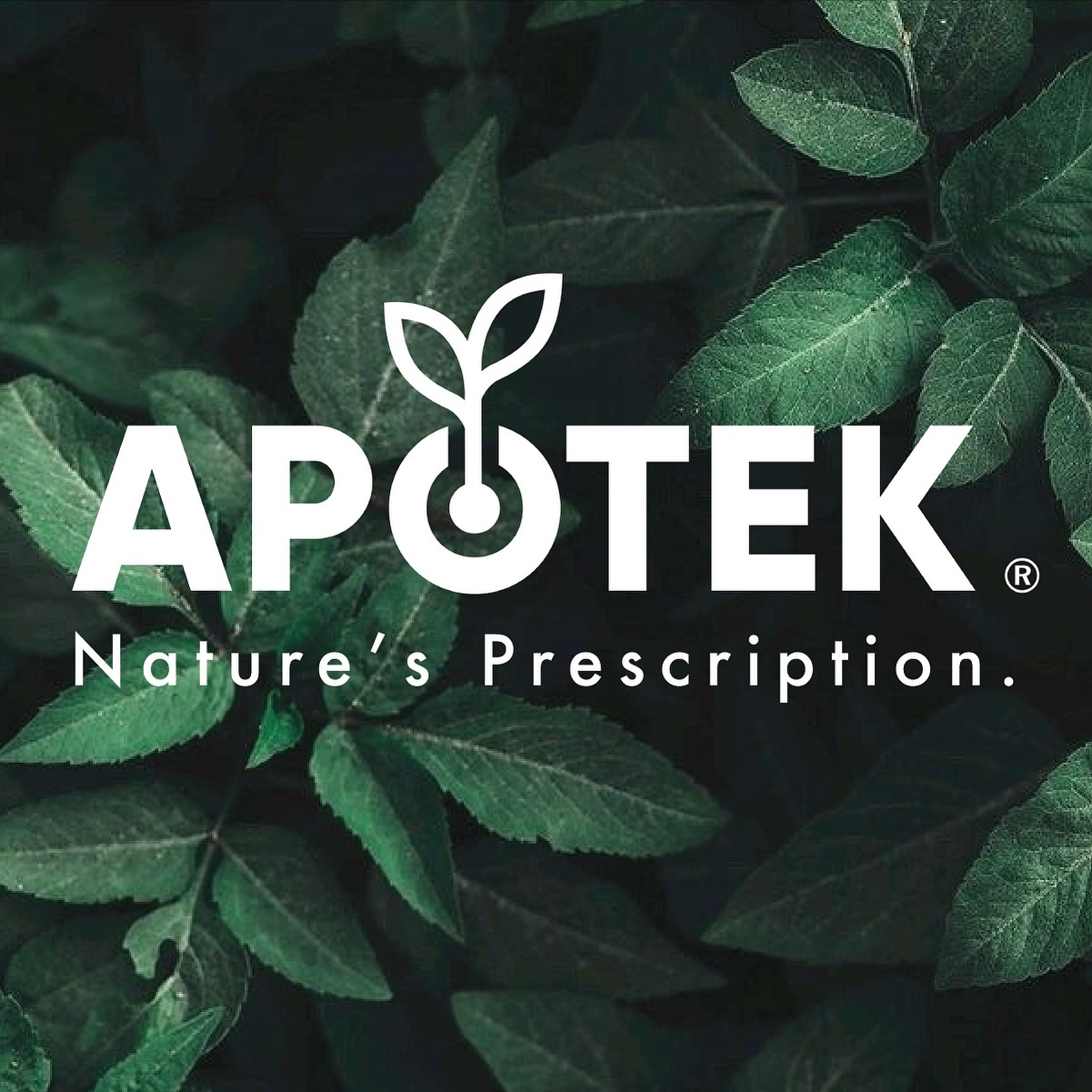 Apotek Origins