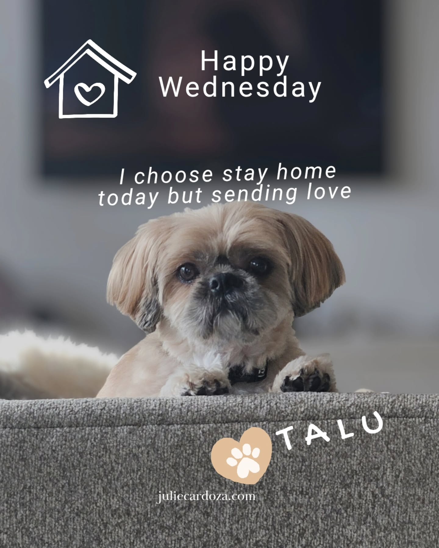 Honoring nature and listening to our bodies, Talu said nope today and chose to stay home. How can you honor you body's needs today?
#TherapyDog #AnimalAssistedTherapy #MidlifeWomen #MenopauseCoaching