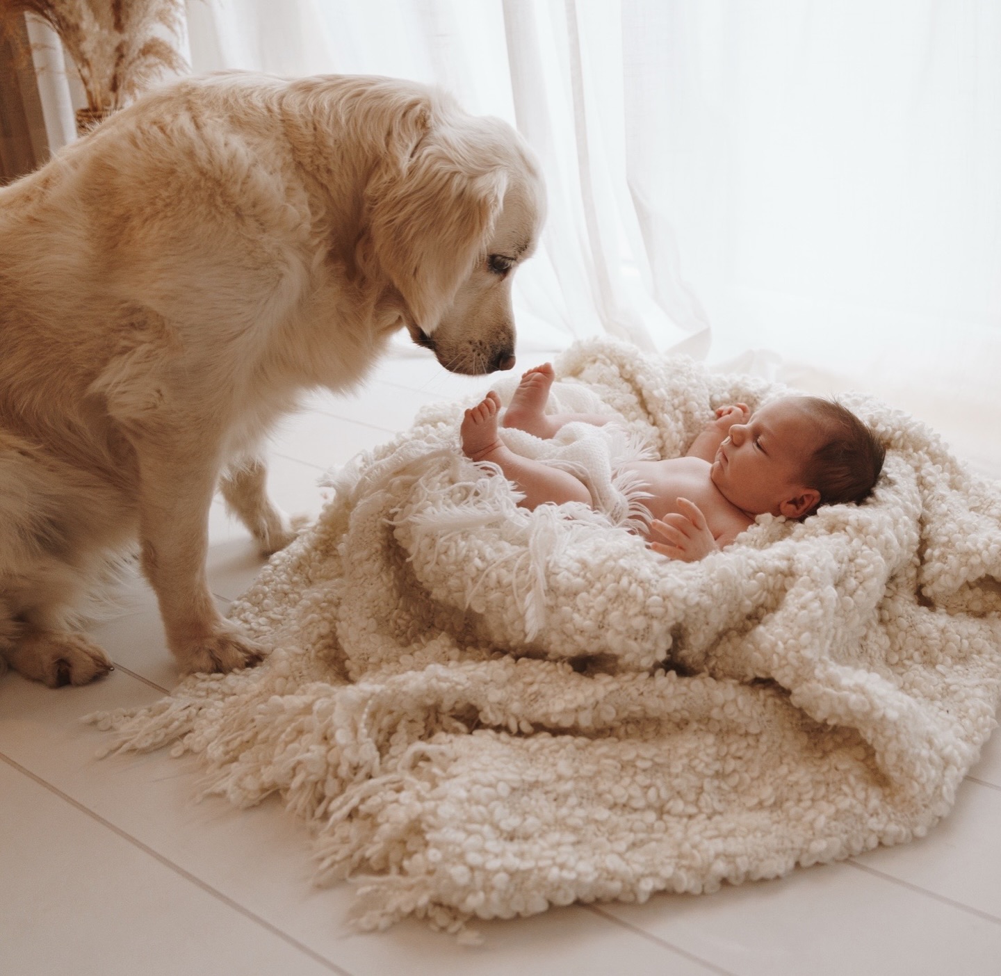 Man sagt, Hunde spüren alles.
Und ich glaube, sie spüren auch dieses Wunder. ✨
Da liegt dieses winzige, neue Leben.
Noch ganz zart. Noch ganz neu auf dieser Welt.
Und daneben: treue Augen, die schon immer da waren.
Beschützend. Neugierig. Ganz vorsichtig.
Für viele Familien gehört der Hund nicht „einfach dazu“.
Er ist Familie.
Er war da, bevor das Baby kam.
Und jetzt beginnt ein neues Kapitel – gemeinsam.
Für mich ist es selbstverständlich, dass ihr euren Hund mit zum Shooting bringen könnt 😊
Diese Bilder sind mehr als Fotos.
Sie sind Erinnerungen an den Anfang einer Freundschaft fürs Leben.
✨ Wenn auch euer Vierbeiner Teil eurer Geschichte ist, dann lasst uns genau das festhalten.
#merastudio #hundeliebe #newborn #dog
MERASTUDIO NEWBORN HUNDE