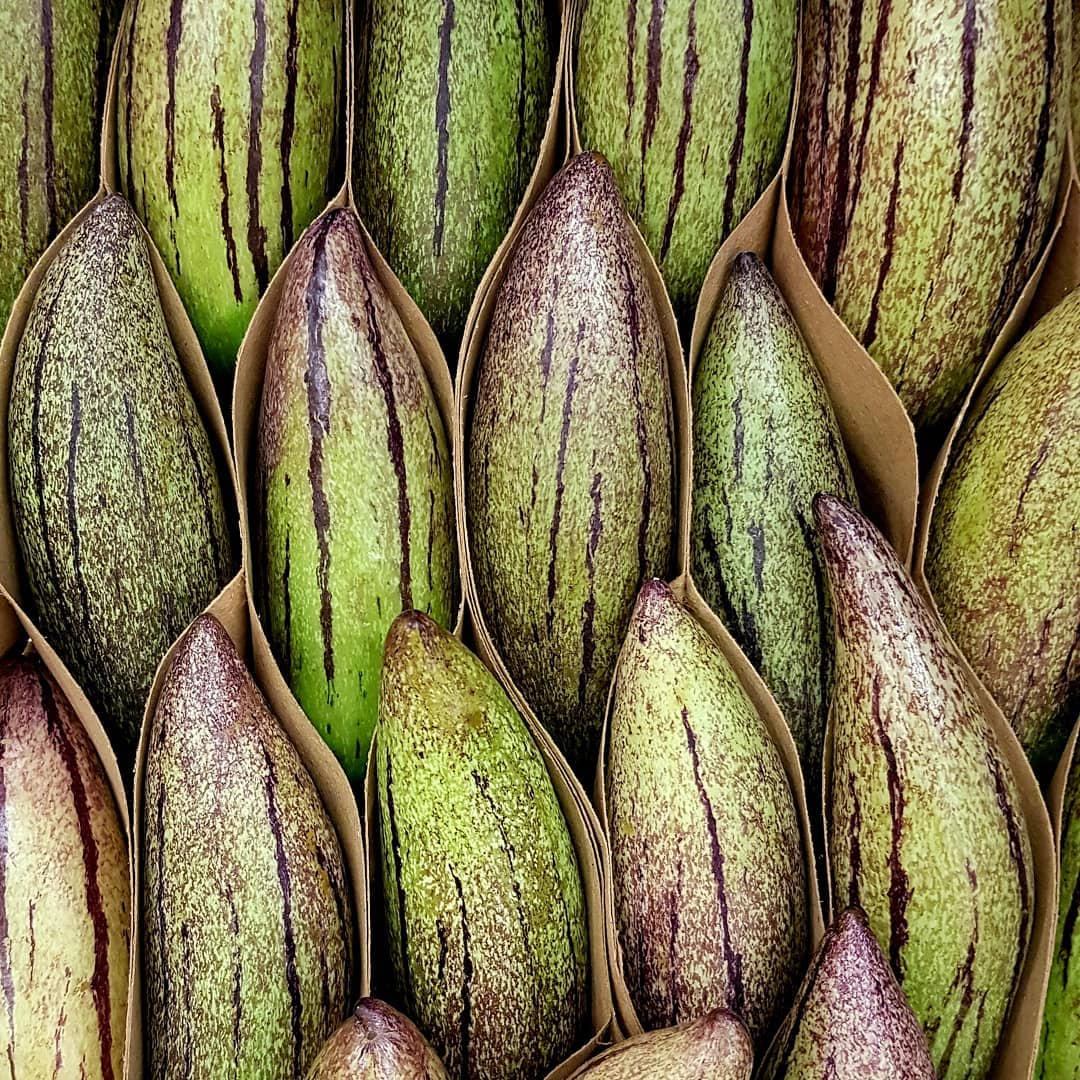 #pepinomelon #melone #fruit #exotic #fruits #fruitarian #fruitporn #columbia #southamerica #wholesale #hamburg #germany #fresh #freshfruit #byair #vitamin #healthy #healthyfood #fitnessfood #sweet #exoticfruit