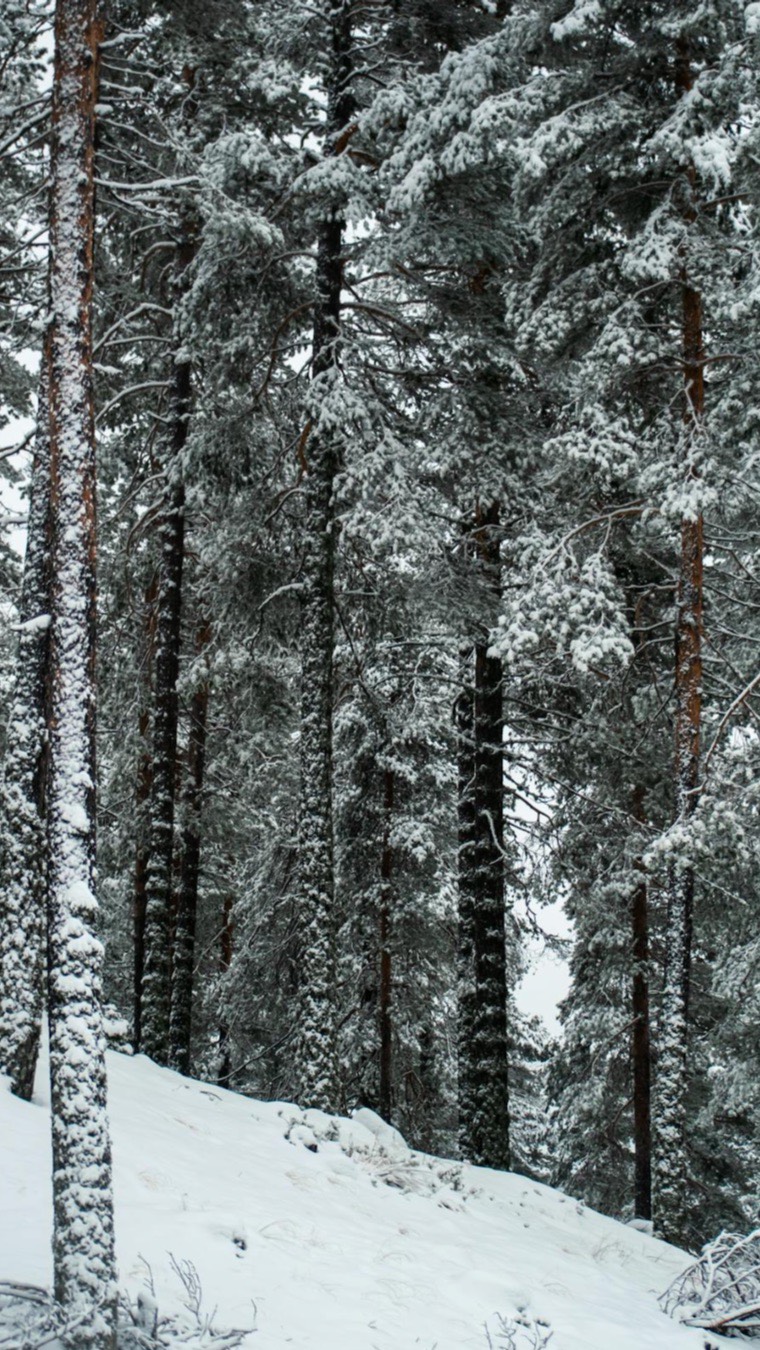 Sliter du med mørke ringer, hevelse eller fine linjer rundt øynene? mesoestetic Eyecon er en målrettet og profesjonell øyebehandling som revitaliserer det sarte øyepartiet og gir et friskere, mer opplagt uttrykk.
Passer for:
✔ Mørke ringer
✔ Øyeposer
✔ Slapp hud
✔ Fine linjer
Resultatet er et klarere, jevnere og mer ungdommelig øyeparti.
Are you struggling with dark circles, puffiness, or fine lines around the eyes? mesoestetic Eyecon is a targeted, professional eye treatment designed to revitalize the delicate eye area and restore a fresher, more awake appearance.
Suitable for:
✔ Dark circles
✔ Under-eye bags
✔ Loss of firmness
✔ Fine lines
The result is a brighter, smoother, and more youthful-looking eye contour.
#lillehammerspa #wellness #beautyexpert #eyecon
#lillehammerspa wellness beautyexpert eyecon