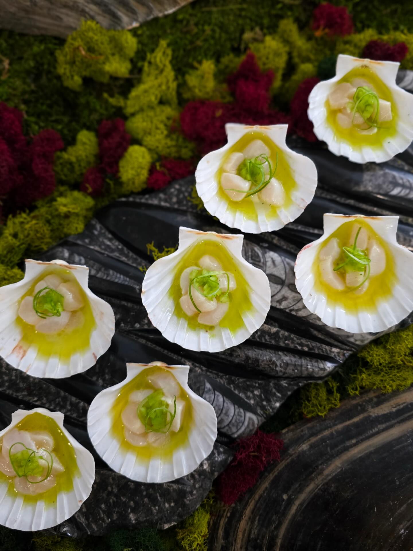 Small bite. Major moment. โจ Fresh scallop crudo canapรฉ โฆ the perfect, refined start to your next event
.
๐๐ข๐ฏ๐ข๐ฅ๐ช๐ข๐ฏ ๐ฃ๐ข๐บ ๐ด๐ค๐ข๐ญ๐ญ๐ฐ๐ฑ๐ด, ๐๐ช๐ค๐ช๐ญ๐ช๐ข๐ฏ ๐ฐ๐ญ๐ช๐ท๐ฆ ๐ฐ๐ช๐ญ, ๐ค๐ฐ๐ฏ๐ง๐ช๐ต ๐ญ๐ฆ๐ฎ๐ฐ๐ฏ, ๐ค๐ฆ๐ญ๐ฆ๐ณ๐บ & ๐ด๐ค๐ข๐ญ๐ญ๐ช๐ฐ๐ฏ๐ด