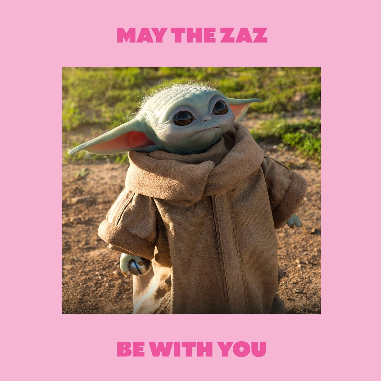 Embrace each day with the unstoppable energy of ZAZ—your adorable sidekick on life’s adventure! Even Baby Yoda gives a nod to this irresistible choice. 🍪👶🏻💫 #ZAZSnack #BabyYodaSealOfApproval #noguiltcrunch