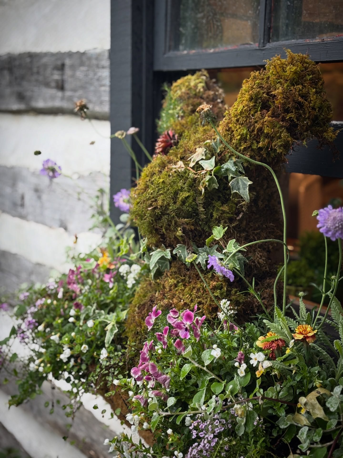 Soon it will be Spring. The bunnies will hop, the birds will sing and the flowers will bloom.
I love Winter, but the sun will likely feel especially warm this Spring.