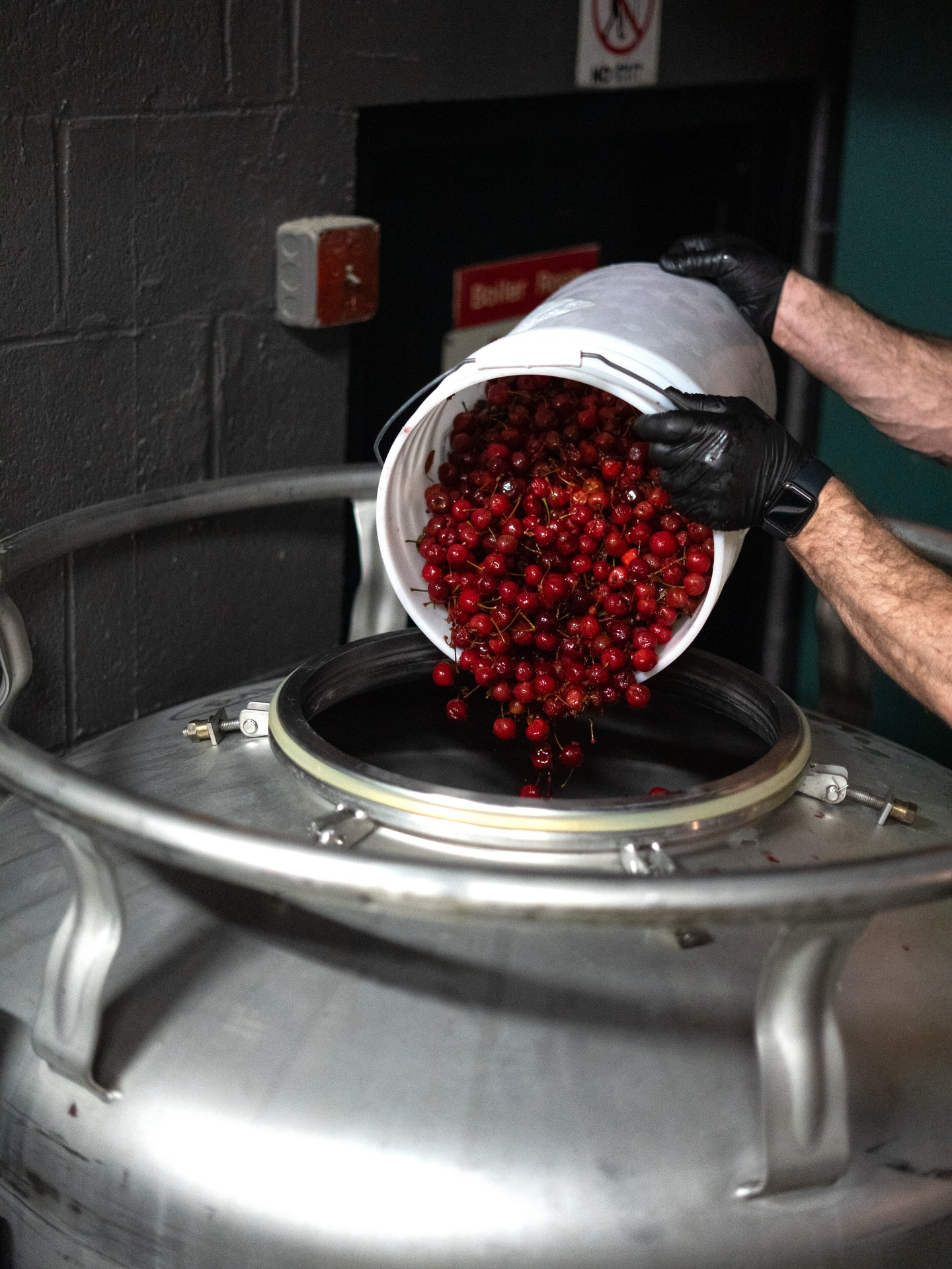 This past week we added 300lbs of whole cherries from @woodlandfarmct on to a blend of mixed fermentation oak aged beers.
We sampled quite a few of our current barrel-aged beers to determine our next line of attack. After careful consideration, we decided on a blend of 3 oak barrels to condition on CT farm-grown cherries: a barrel of spontaneously fermented beer, a Belgian Trappist-inspired ale, and one of our barrels of wet-hopped farmhouse ales from our trip to @skaneateleshopfarm !
The beer will referment on cherries for the next 2-3 months, before bottling and kegging. Mixed-ferm beers take patience and time, but the flavor complexity they develop is well worth the commitment🍒🍻
#nodhillbrewery #ridgefieldct #mixedfermentation #barrelagedbeer #ctbrewery