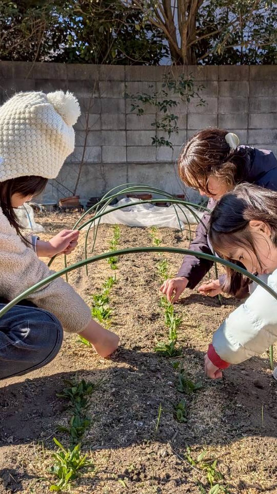 2月に開催した「くらしといろ」のワークショップ
"小田クラインガルテンを描こう 第二回"の様子です。
古民家永田ハウスの裏庭に昨年作った菜園の収穫祭です。
冬の寒い時期なので、収穫にはまだ早かったですが、みんなで間引き🌱の作業をした後、薪ストーブを囲んで地元野菜をふんだんに使った、ひっつみ汁を食べました。
小田クラインガルテンを舞台にこれからいろいろなイベントやワークショップを開催します。どうぞご期待下さい。😊
#つくば#宝篋山#クラインガルテン#ひっつみ汁 #ワークショップ札幌