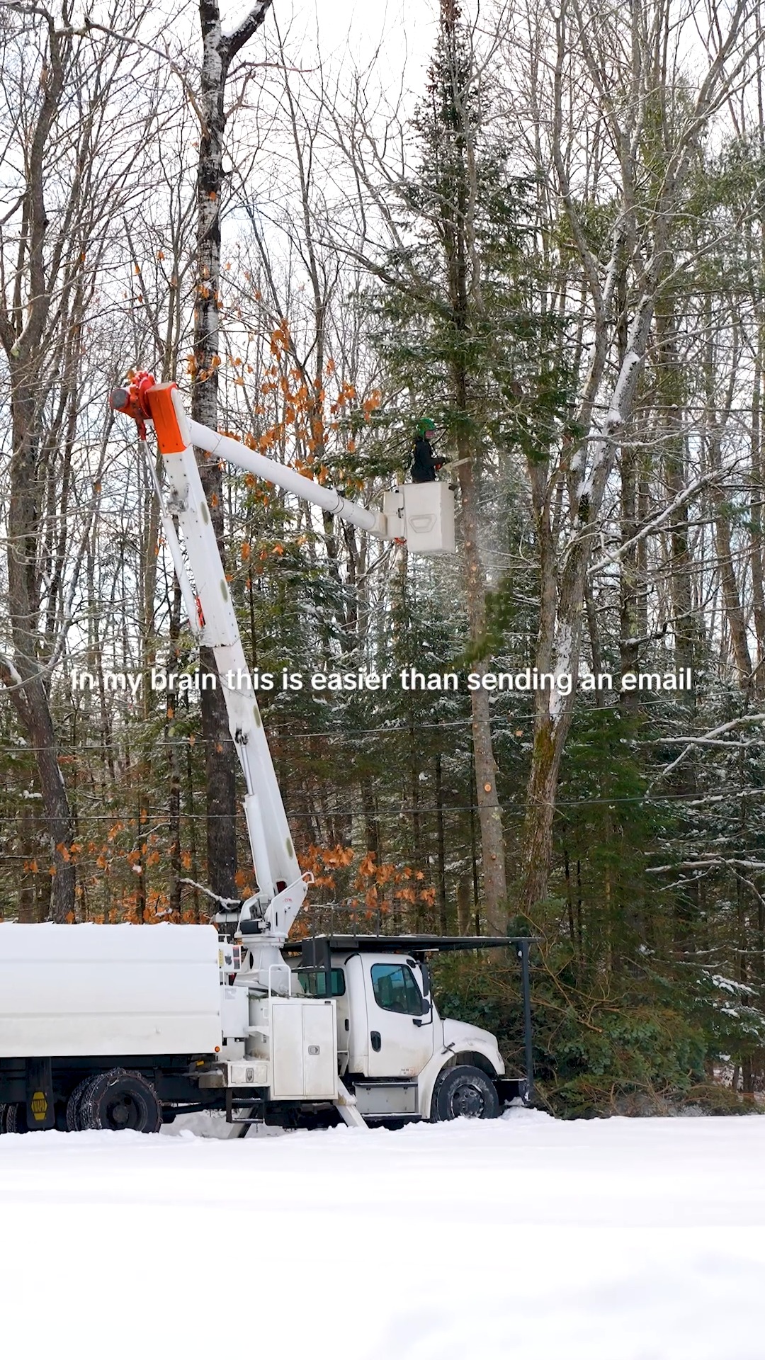 never saw a cushy desk job that I liked
.
.
.
.
#belangertreecare #arborist #arboristsofinstagram #skowhegan #skowheganmaine #forestry #chainsaws
#centralmaine #mainebusiness #treecare #treecarebusiness #treeclimbers #logging