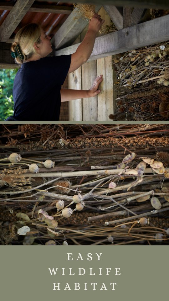 Making space for nature ๐
The weekend's warm weather finally allowed us to get outside! I've been busy tidying up my borders and creating a 'dead hedge' to provide a haven for wildlife. It's a great spot for insects and amphibians to hide, and for birds to find their next meal.
My dead hedge in The @songbirdsurvival Garden at RHS Chelsea last year showed that they can be incredibly beautiful, as well as beneficial. The good news is that it doesn't matter what size your garden is, even a small dead hedge structure is going to provide big benefits to your local wildlife ๐๐
Have you got a dead hedge in your garden?
๐ฟ๐ฟ๐ฟ๐ฟ๐ฟ๐ฟ๐ฟ๐ฟ
RHS Chelsea dead hedge photos: @britt.willoughby.photography
About: Nicola Oakey Design is a Rutland based garden designer working across Northamptonshire, Leicestershire, Lincolnshire and Cambridgeshire. See the link in her bio for more details...