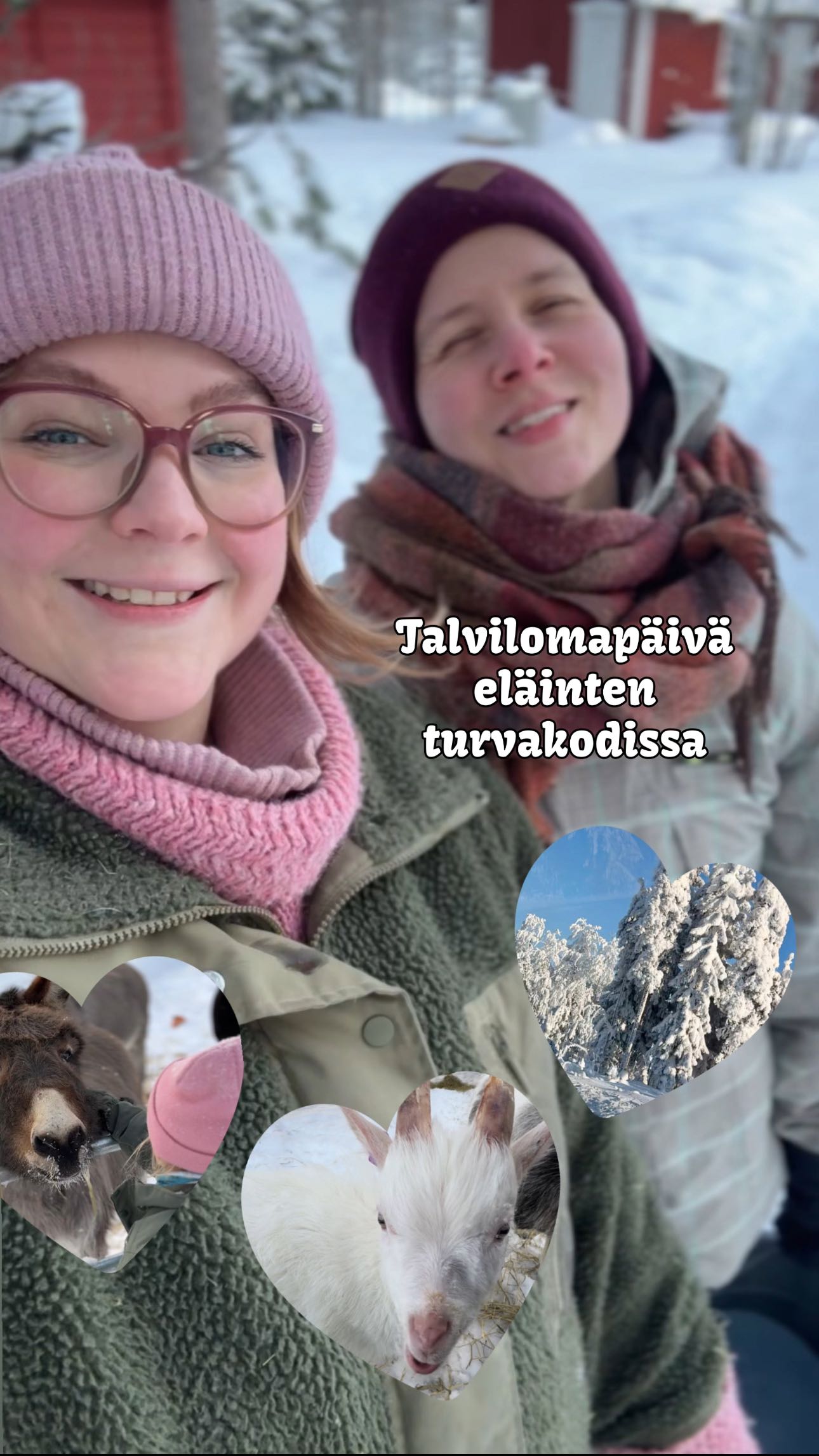 Kaikki meni hyvin tuohon viimeiseen hetkeen asti! 😅🐮🫣 Täytyy myöntää että hieman jännitti kun itselle vielä tuntemattomat jättiläiset piiritti meidän pulkan 🤭
Tervetuloa seuraan tästä vlogista meidän perheen talvilomapäivää Eläinten turvakoti Aurorassa @auroranturvakoti Rovaniemellä ❤️ Tää on talvilomasarjan viimeinen osa - tsekkaa kolmesta aiemmasta postauksesta ruokateemaiset jutut ja reseptit! 😍
Oisko eläinten turvakodissa työskentely sulle mieluinen tapa viettää lomapäivää? ☺️💬⬇️
#vegaaniperhe #eläintenturvakoti #perheelämä