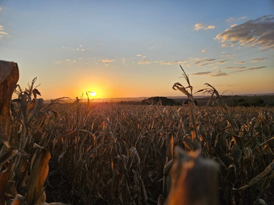 #Photodump de fevereiro com muitas paisagens, plantações, estradas e belezas naturais ✨
