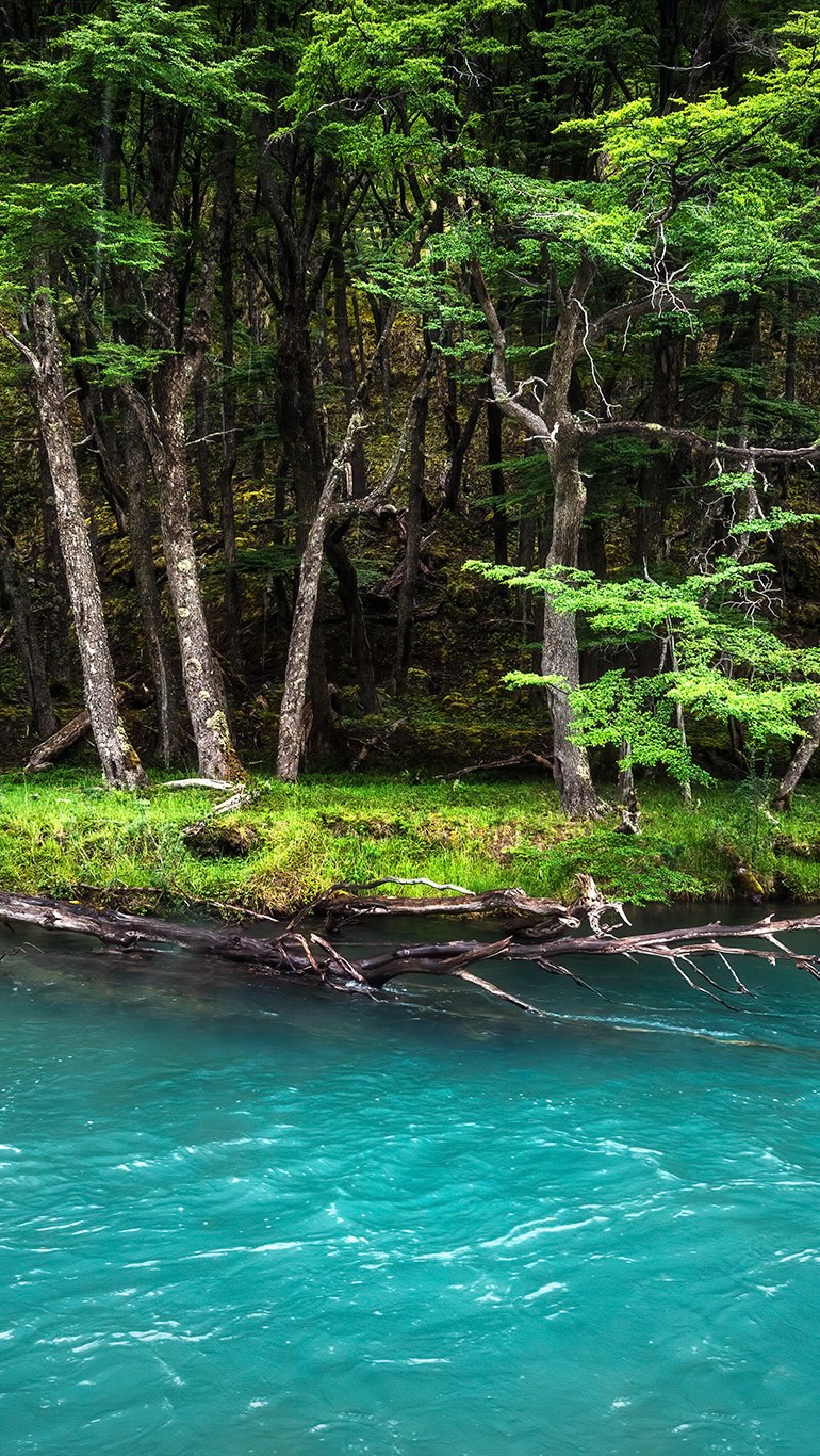 SAFARI FOTOGRÁFICO PARA MUJERES 🌷
-05-09/09/2026 Torres del Paine, Chile 𓃮✮
🔥ÚLTIMOS CUPOS!🔥
En los safaris fotográficos para mujeres nos sumergimos en plena naturaleza, afinando la mirada y practicando en el terreno.
Junto a guías expertos, biólogos y rastreadores nos adentraremos en lugares donde la fauna se muestra en todo su esplendor, aprenderás acerca del comportamiento de la fauna, su hábitat, geografía y la historia que la envuelve.
Guiándote en cada toma, verás cómo tus fotografías cobran una nueva fuerza. Tus imágenes mejorarán mucho más rápido en los Safaris que estudiando únicamente la teoría.
También descubrirás cómo transformar tu pasión en algo más grande. Compartiré contigo lo que he aprendido sobre la fotografía como profesión, cómo construir un portafolio con intención, aprenderás a darle valor a tu trabajo y explorar caminos para vivir de lo que amas.
Te beneficiarás adquiriendo mayores conocimientos fotográficos, mayores conocimiento acerca del comportamiento de la fauna, aprenderás a utilizar la fotografía como herramienta para generar ingresos, formarás fuertes vínculos con otras mujeres y tendrás una vivencia de vida que recordarás con mucho amor siempre.
Cada Safari es una experiencia transformadora para conectar con la vida silvestre y crecer fotográficamente.
Comenta safari y te envío más información ㅤ♡
#lacamaraexplora