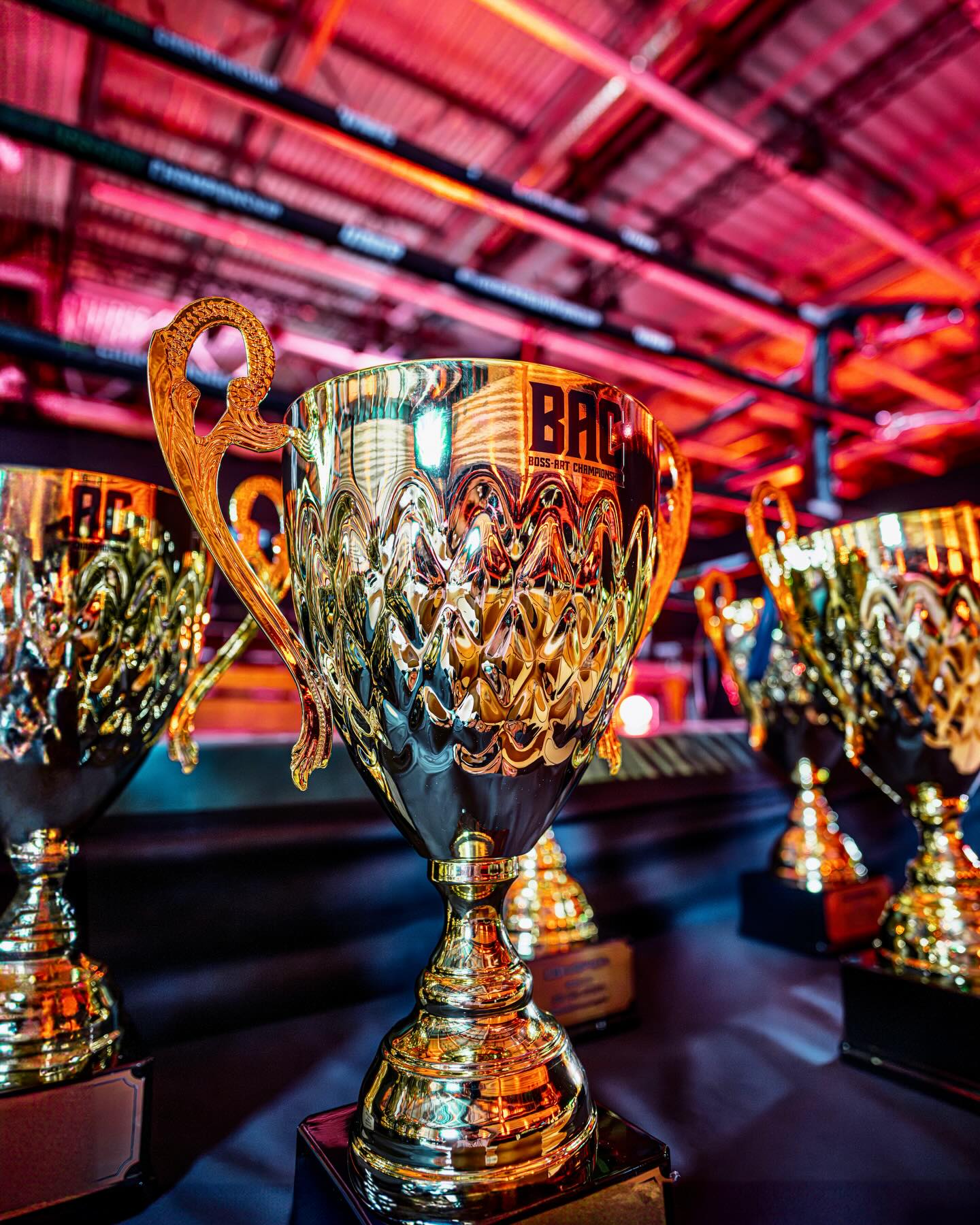 BAC 13 | LET‘S GO 🏆🔥🥊🏅
Undercard 16:00 | Maincard 18:00!
FREE LIVESTREAM @ bossart.events